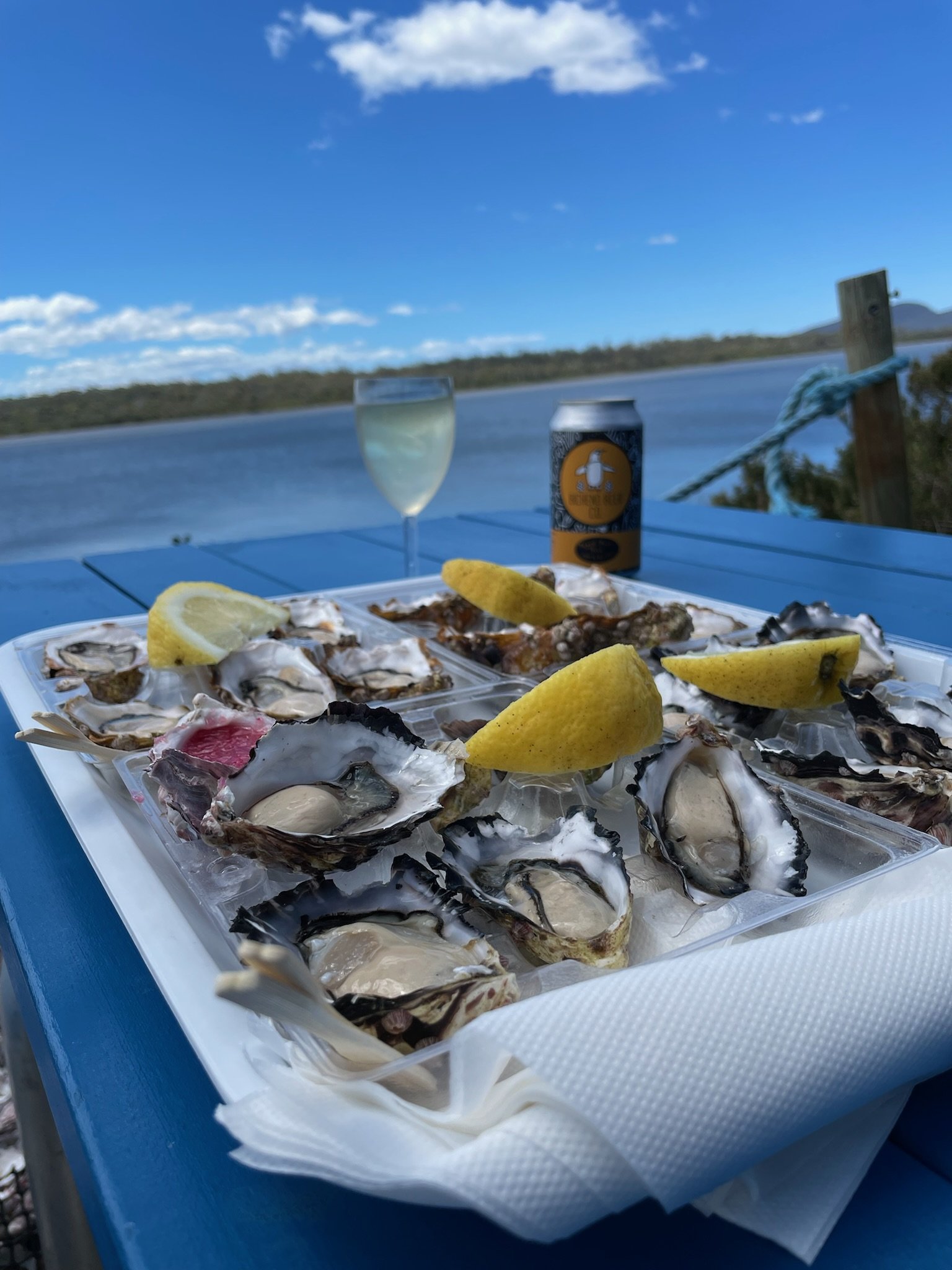 Way, Way Down Under in Tasmania