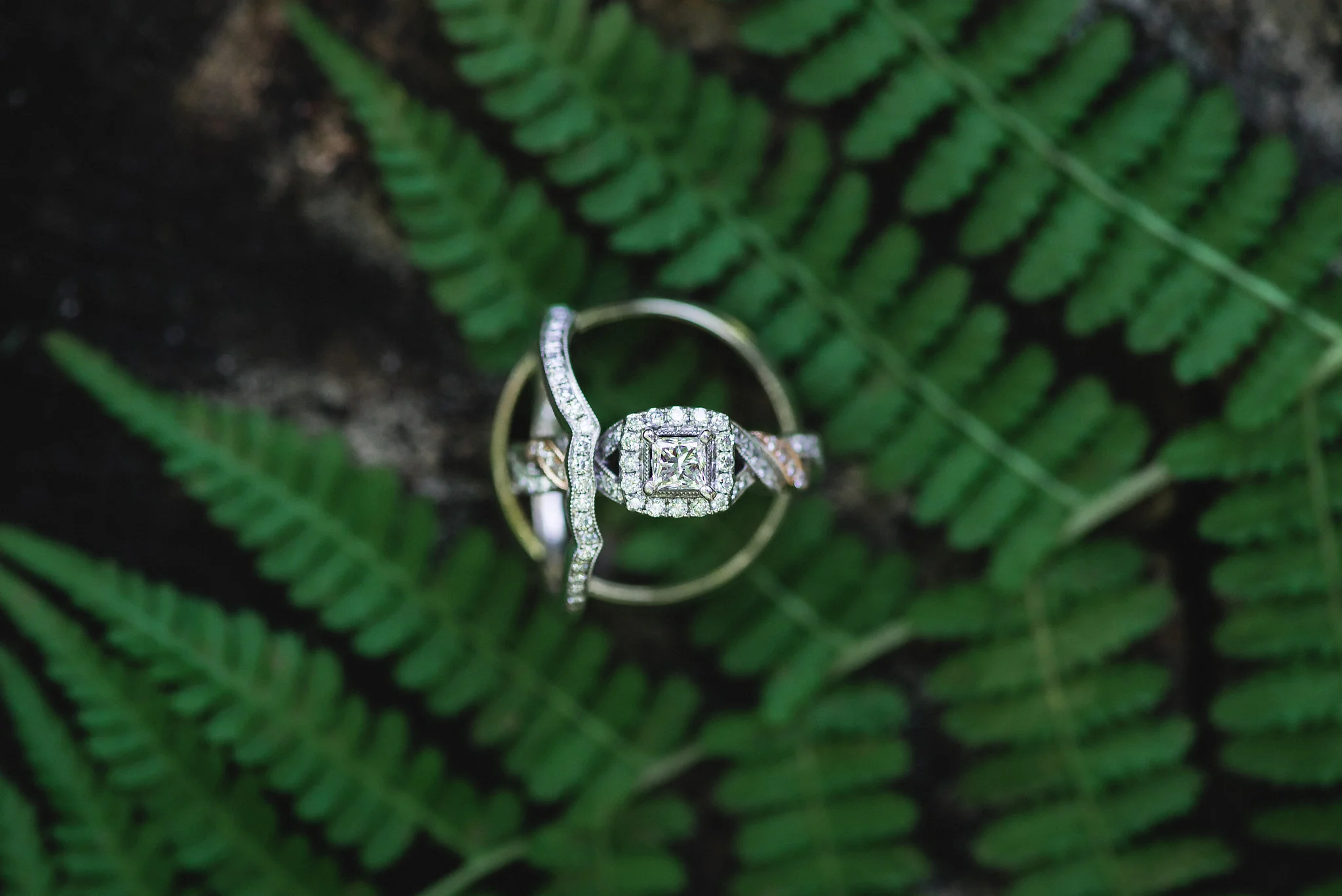Jes&ChadWedding(5of914).jpg