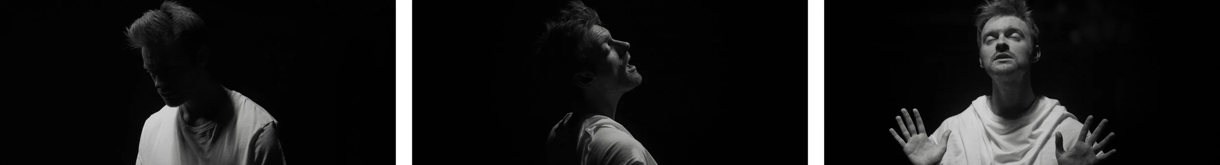 Finneas_Tryptych.jpg