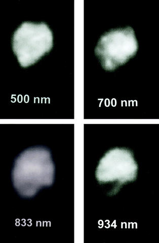 Image Credit: Hooker Telescope at Mount Wilson