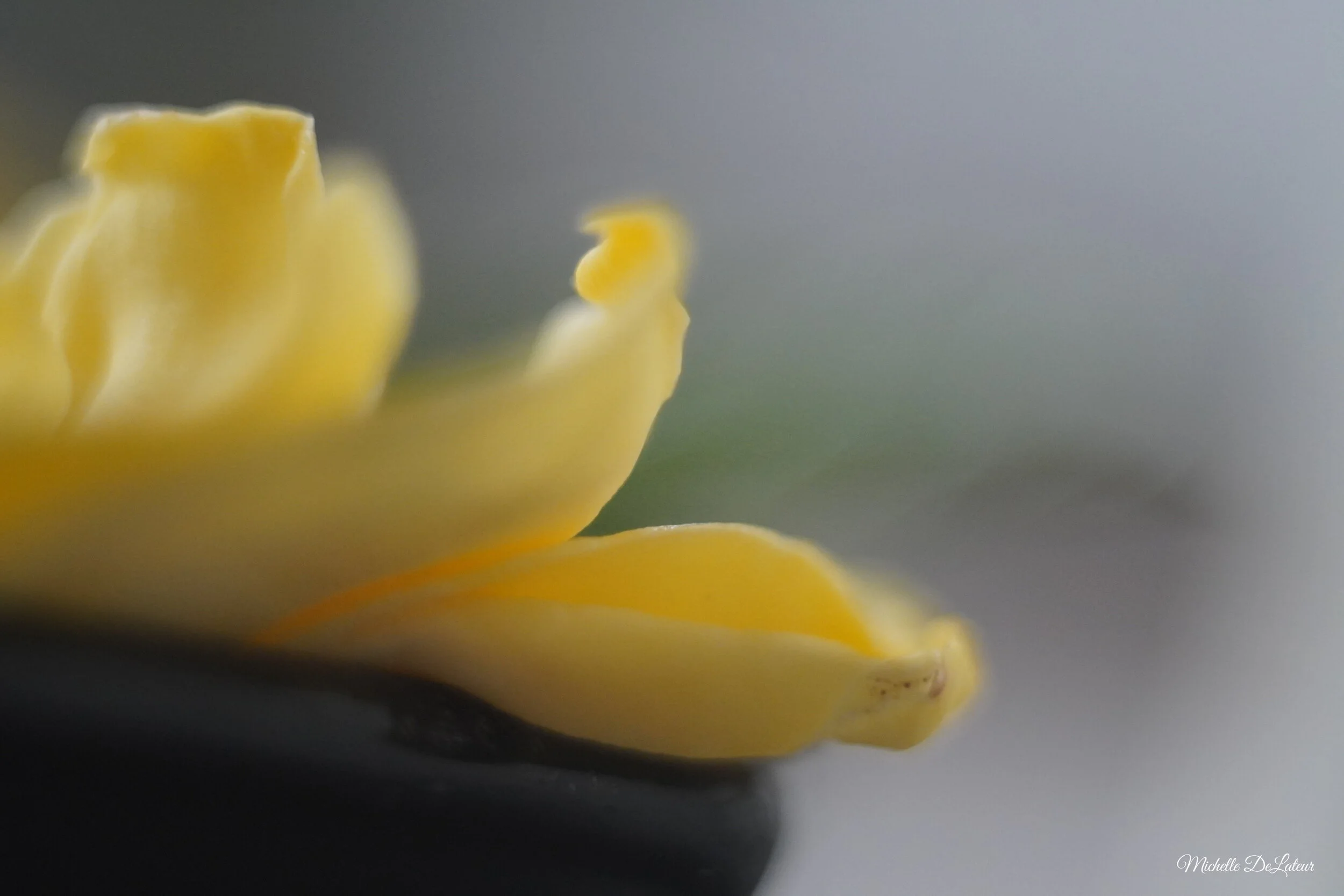 DSC00107 with name.JPG