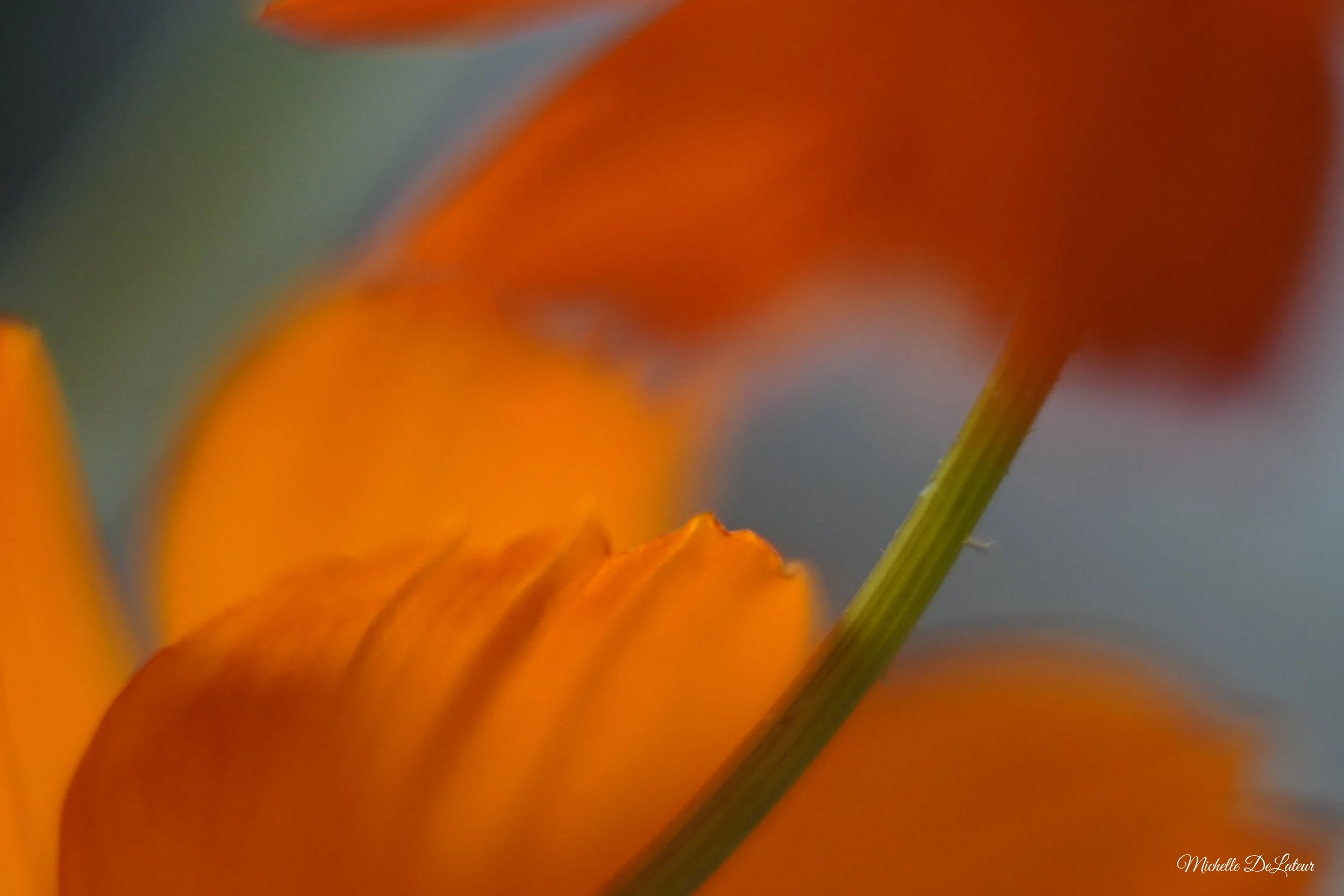 DSC00147 with name.JPG