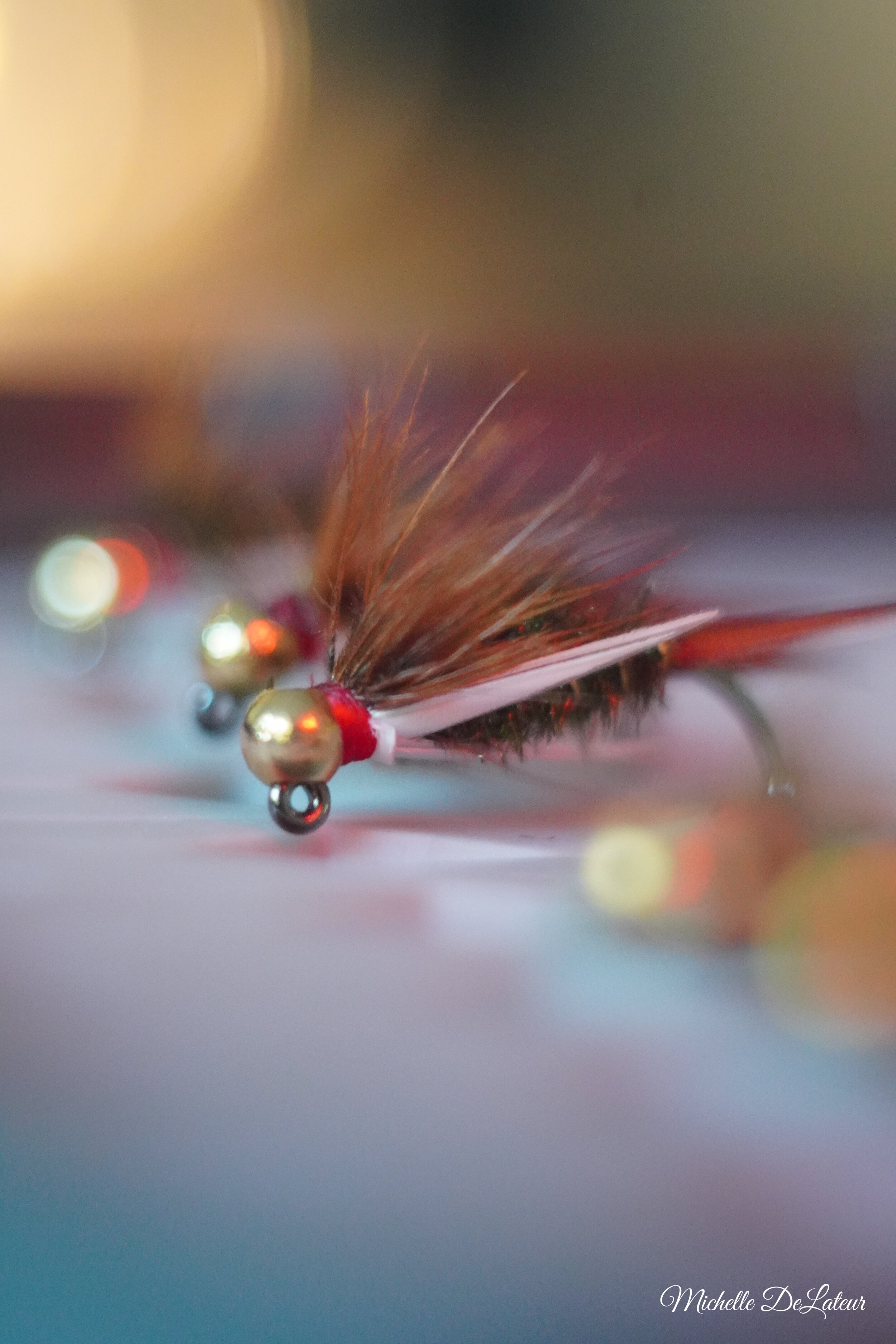 DSC00293 with name.JPG