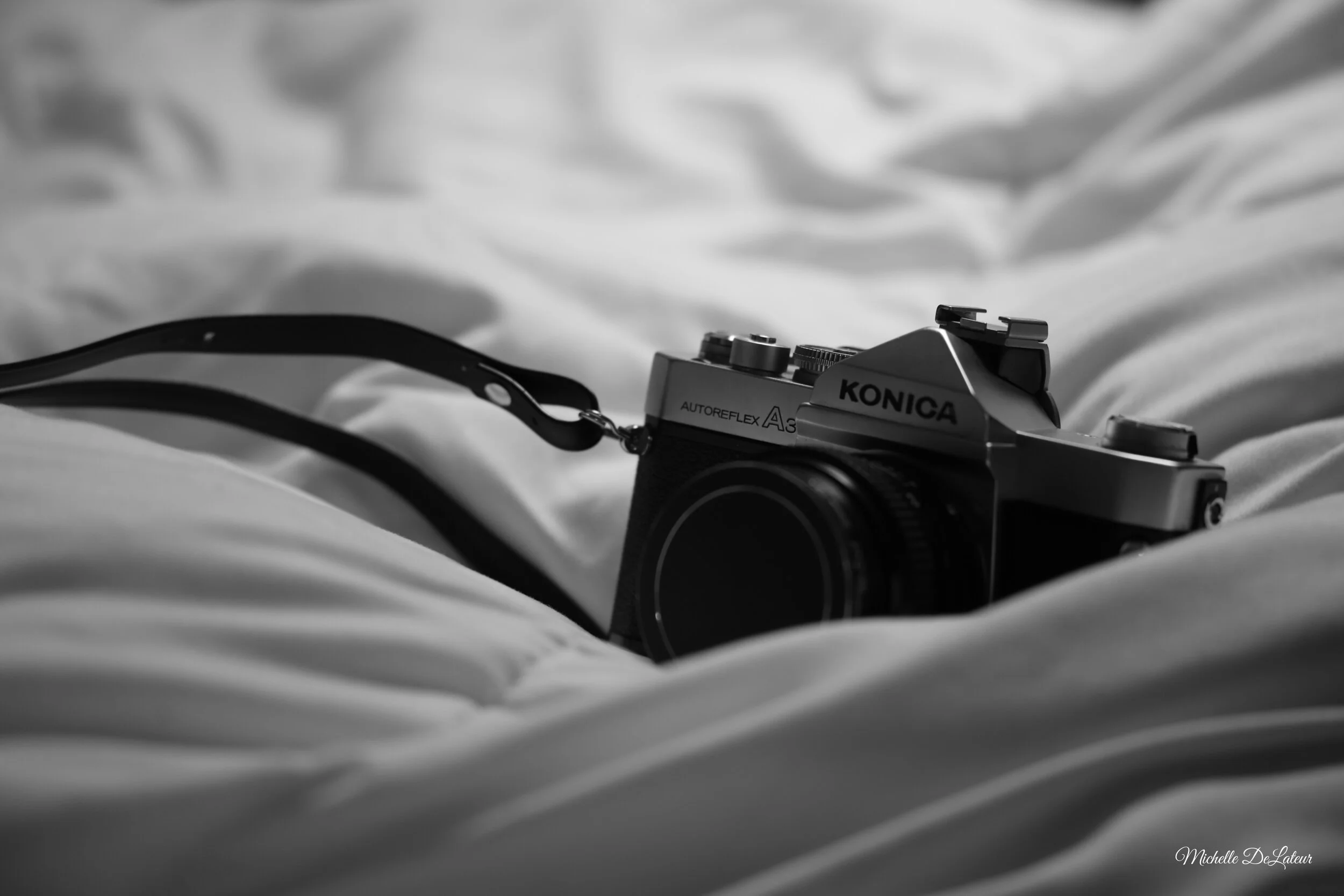 IMG_6404 with name.JPG