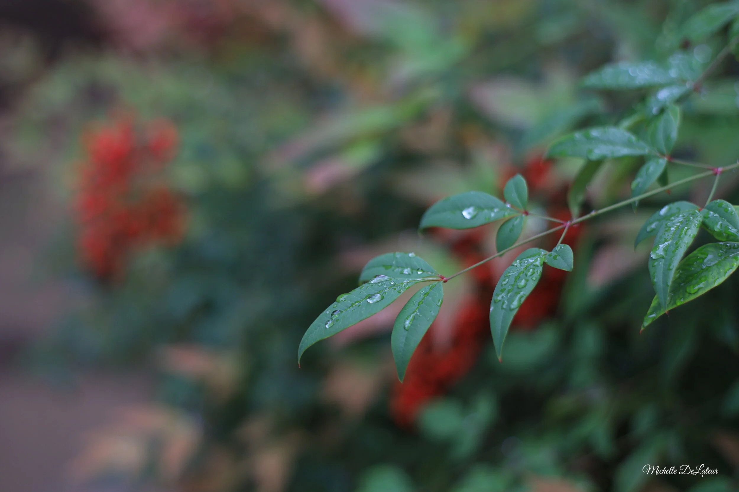 IMG_6527 with name.jpeg