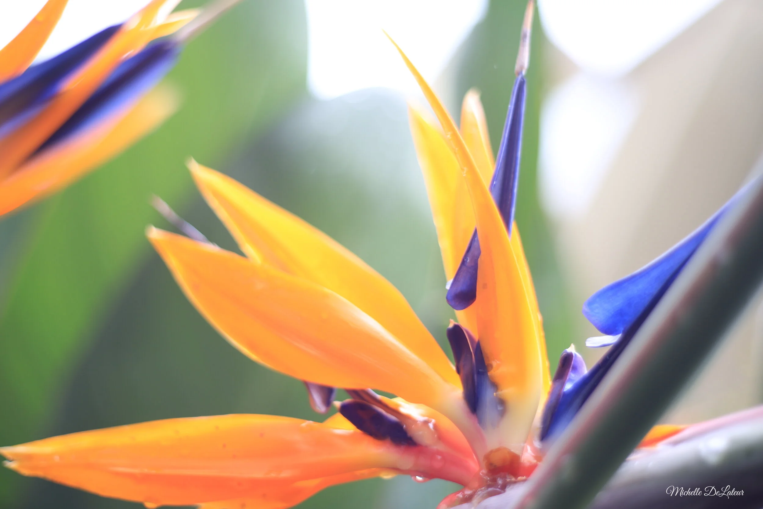 IMG_6514 with name.JPG