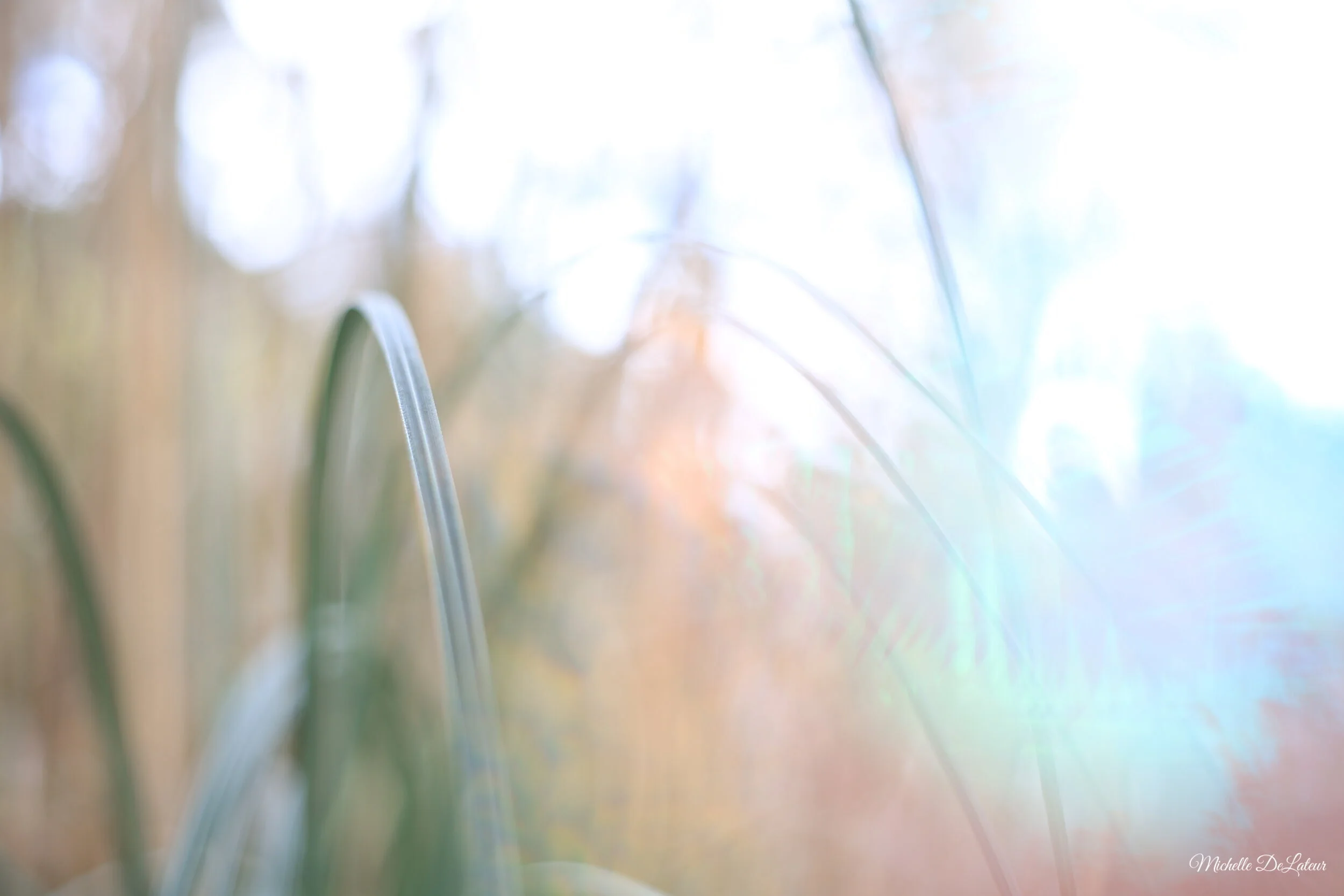 IMG_6654 with name.jpeg