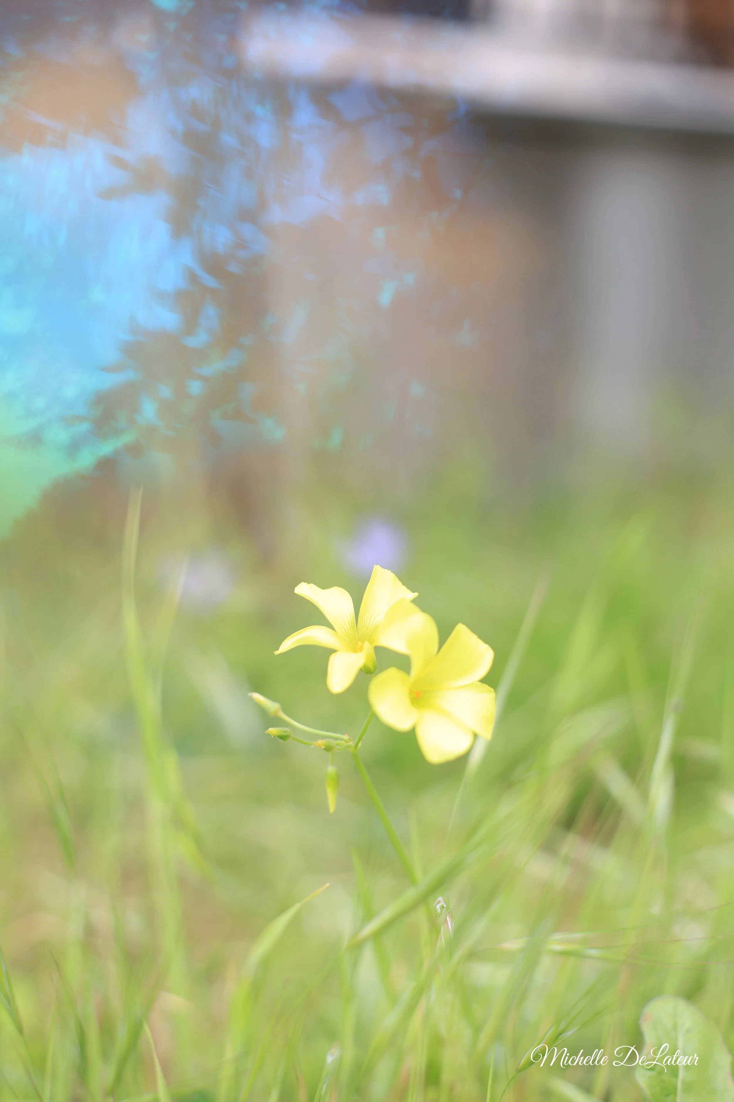 IMG_6681 with name.JPG