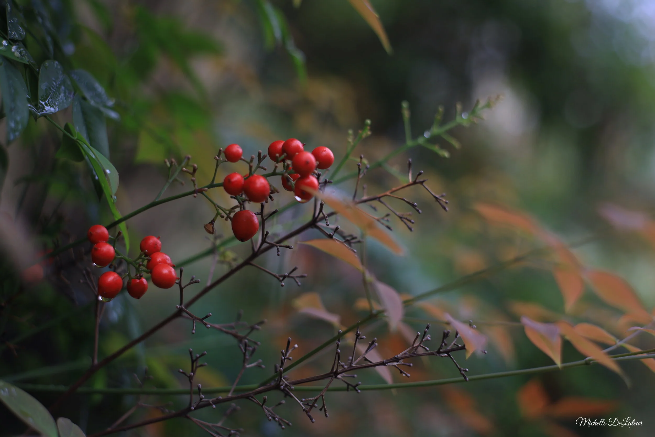 IMG_6528 with name.JPG