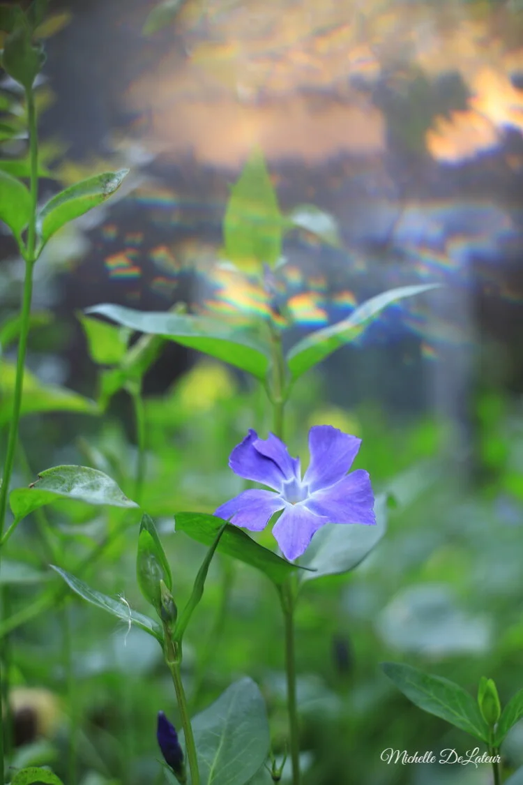 IMG_6697 with name.jpeg