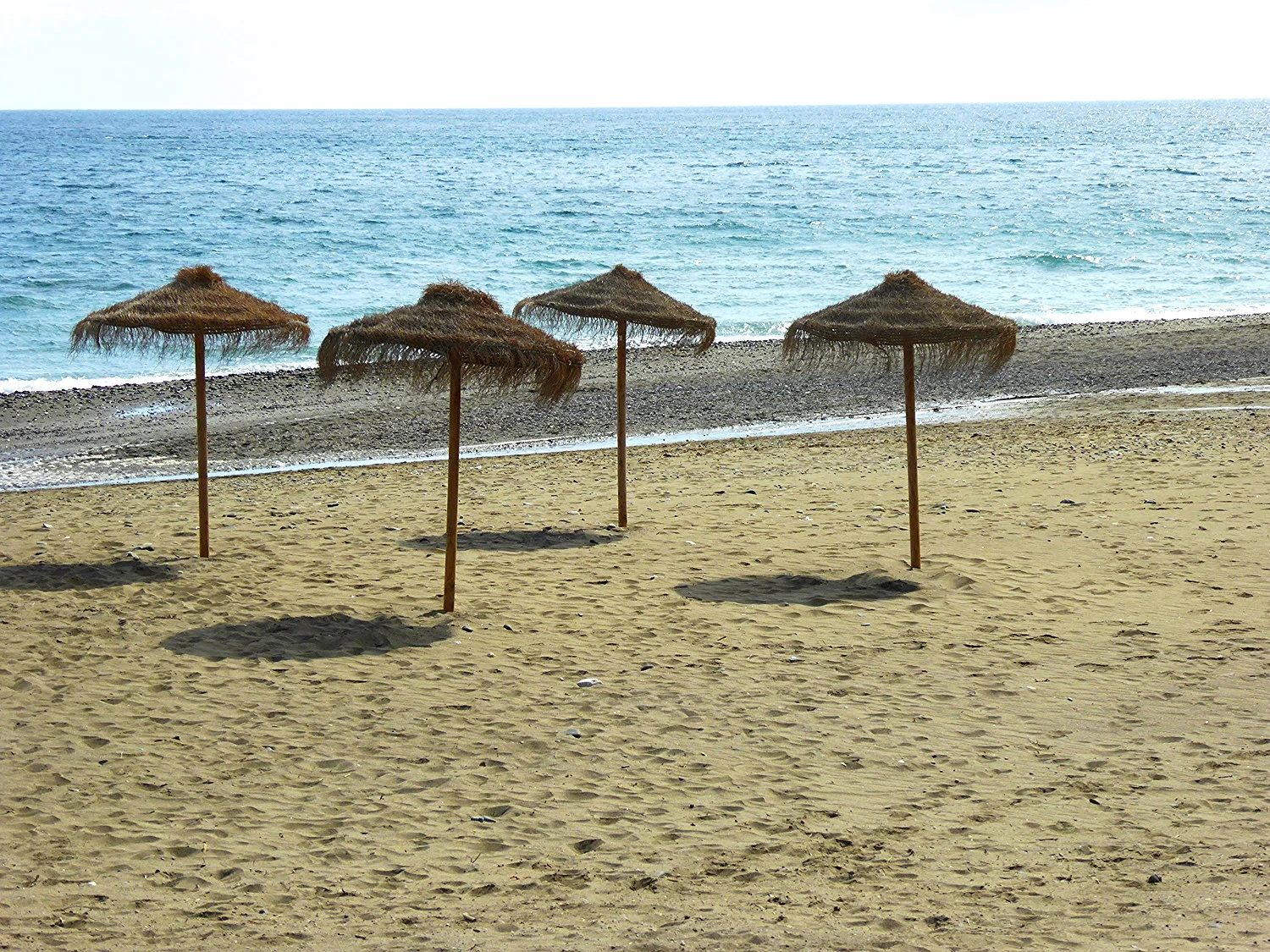 P1020724.JPG