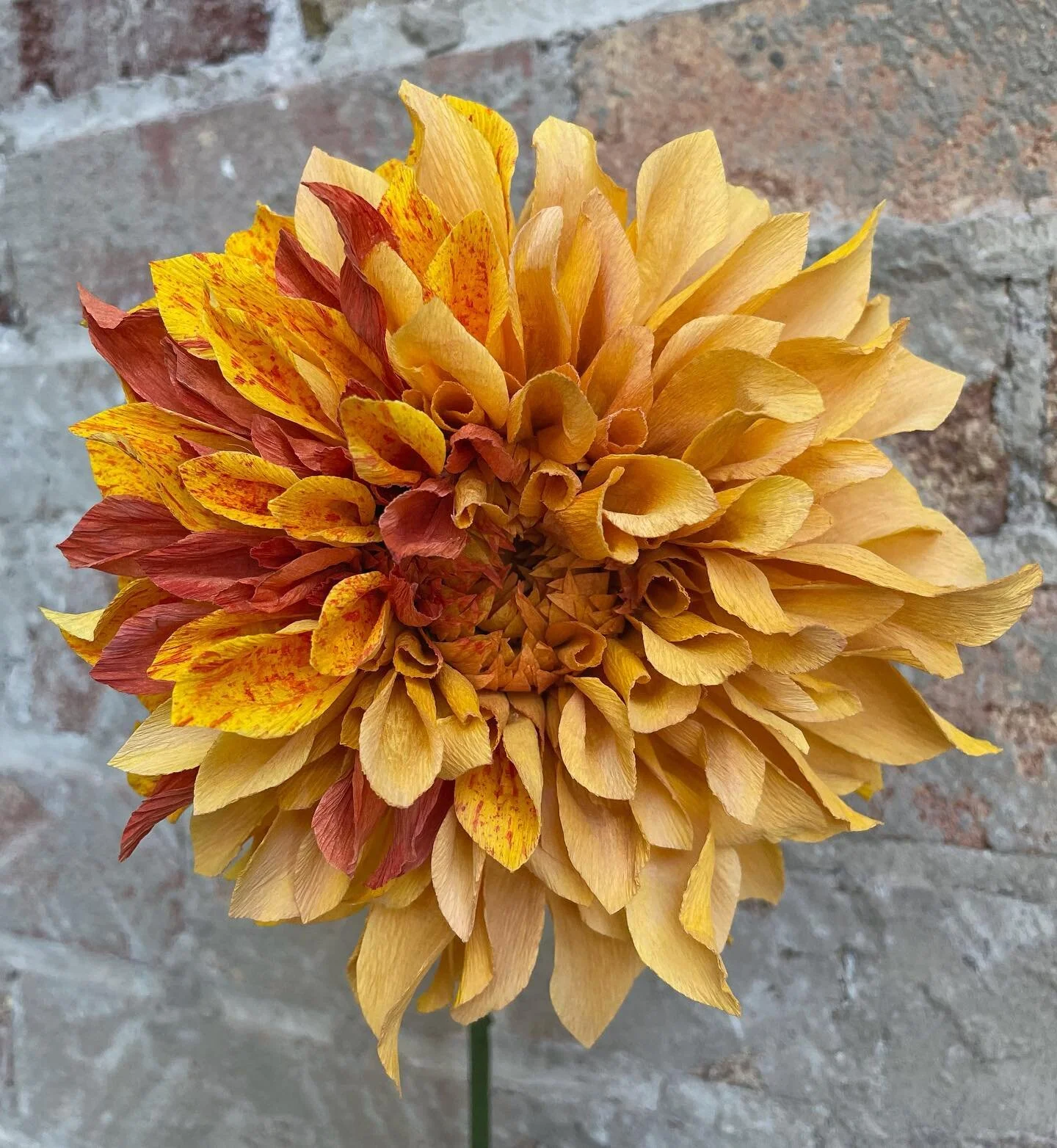 Another day spent on making only one flower and man I&rsquo;m tired. This flower tested me because even though I&rsquo;ve made a dinner plate dahlia before, nailing down the cross pollinated look and the ever allusive mustard yellow was much harder than I anticipated. 😵&zwj;💫
.
Not much more to say other than I&rsquo;m fighting the urge to scream GRYFFINDOR when I look at this flower 😂 time for dinner, a large glass of booze, and continue my obsession with the Olympics. 
.
Handmade Golden mustard yellow Dahlia with cross pollinated red and yellow speckled petals. Made with @liagriffith paper and hand painted using @panpastel and alcohol inks.