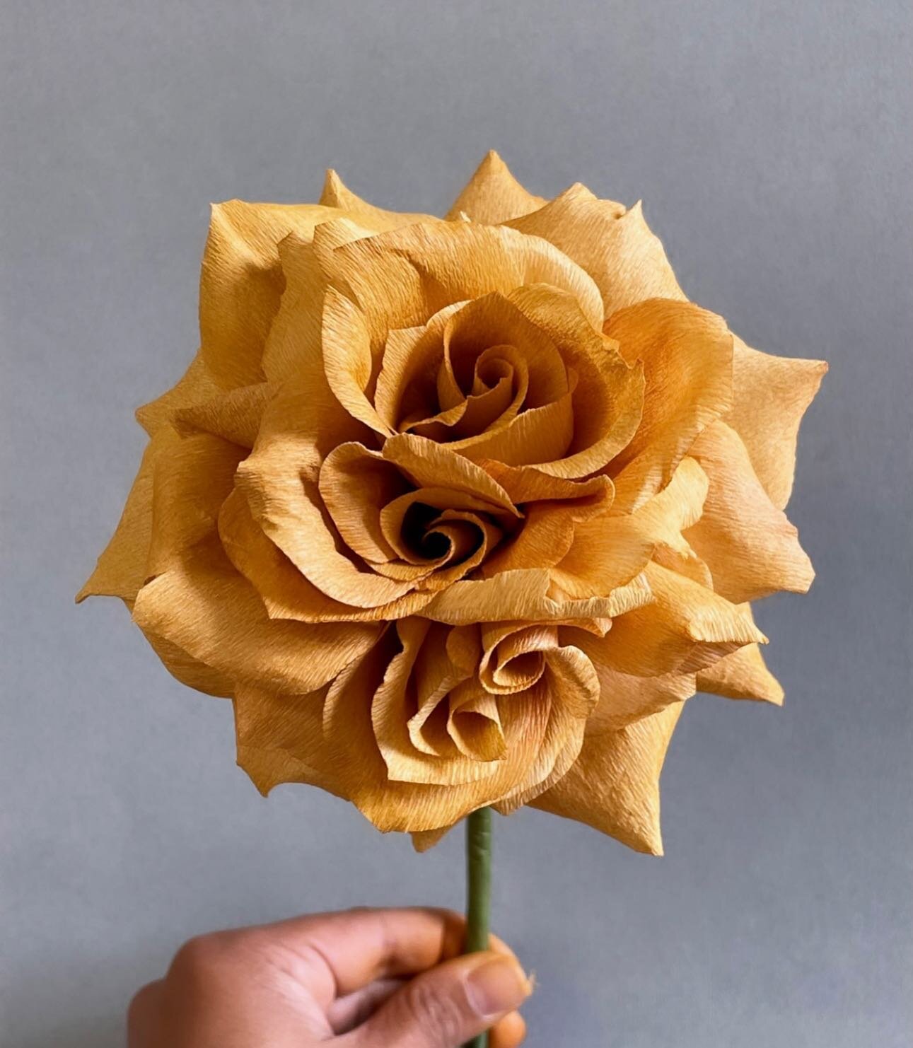 Trying to break my own expectations that making a certain amount of flowers each day means you&rsquo;re &ldquo;productive&rdquo;. This toffee rose took me the entire day and I&rsquo;m so proud of her. Those multiple centers and that golden toffee color was super hard to figure out and I couldn&rsquo;t replicate this flower if I tried- but that&rsquo;s okay, she can be the one and only 💛
.
Paper Toffee Rose with multiple centers handmade with @liagriffith paper and hand painted with @panpastel .