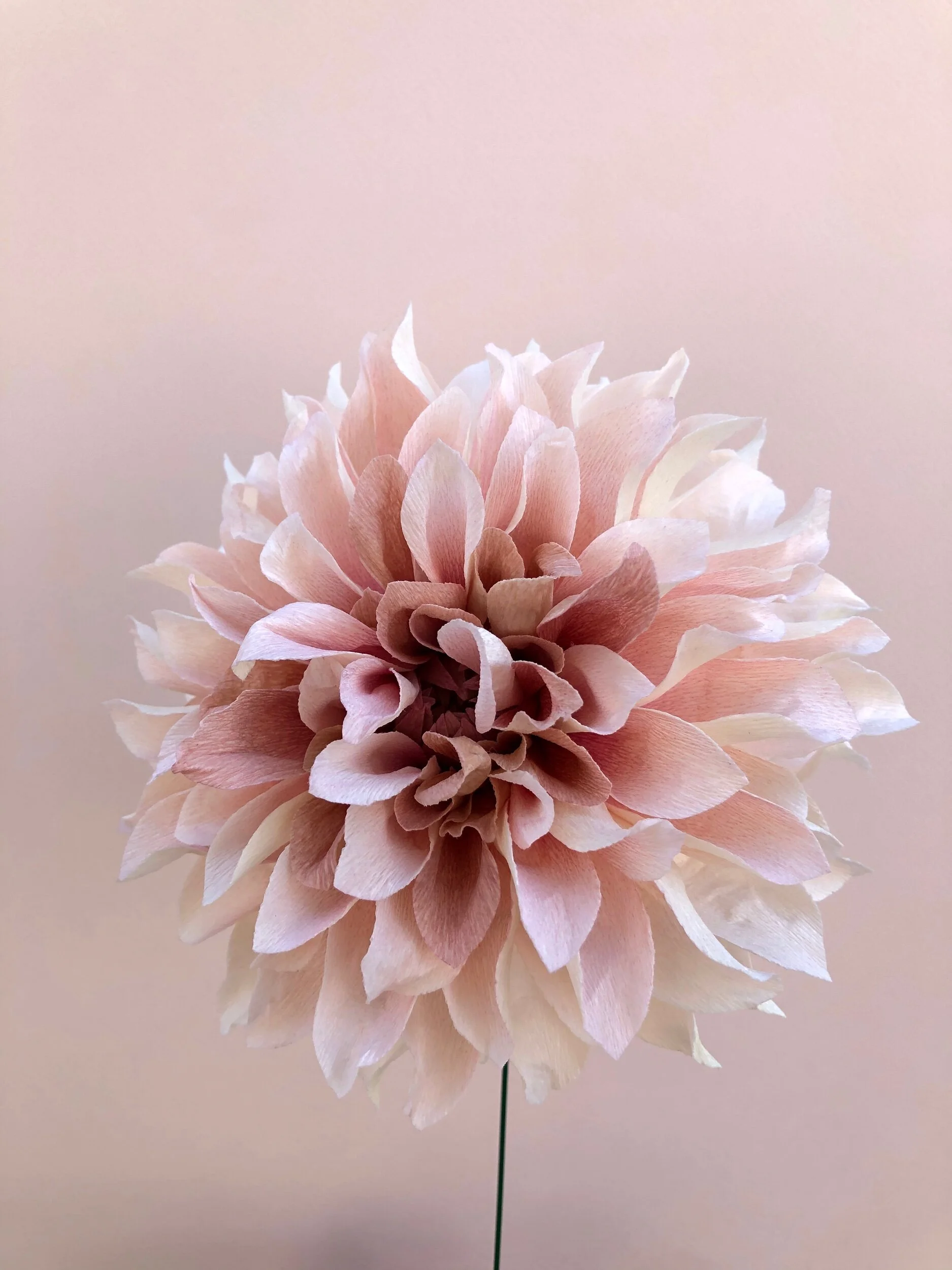 5B77759A-A75D-44B7-9065-E0523C5C0CF4