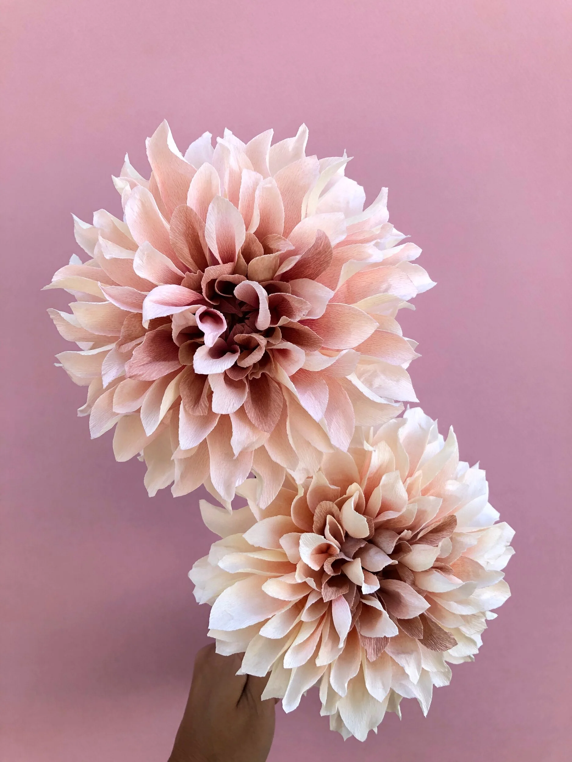 DD349556-010C-4D43-9E25-6B1F2D8A7A80