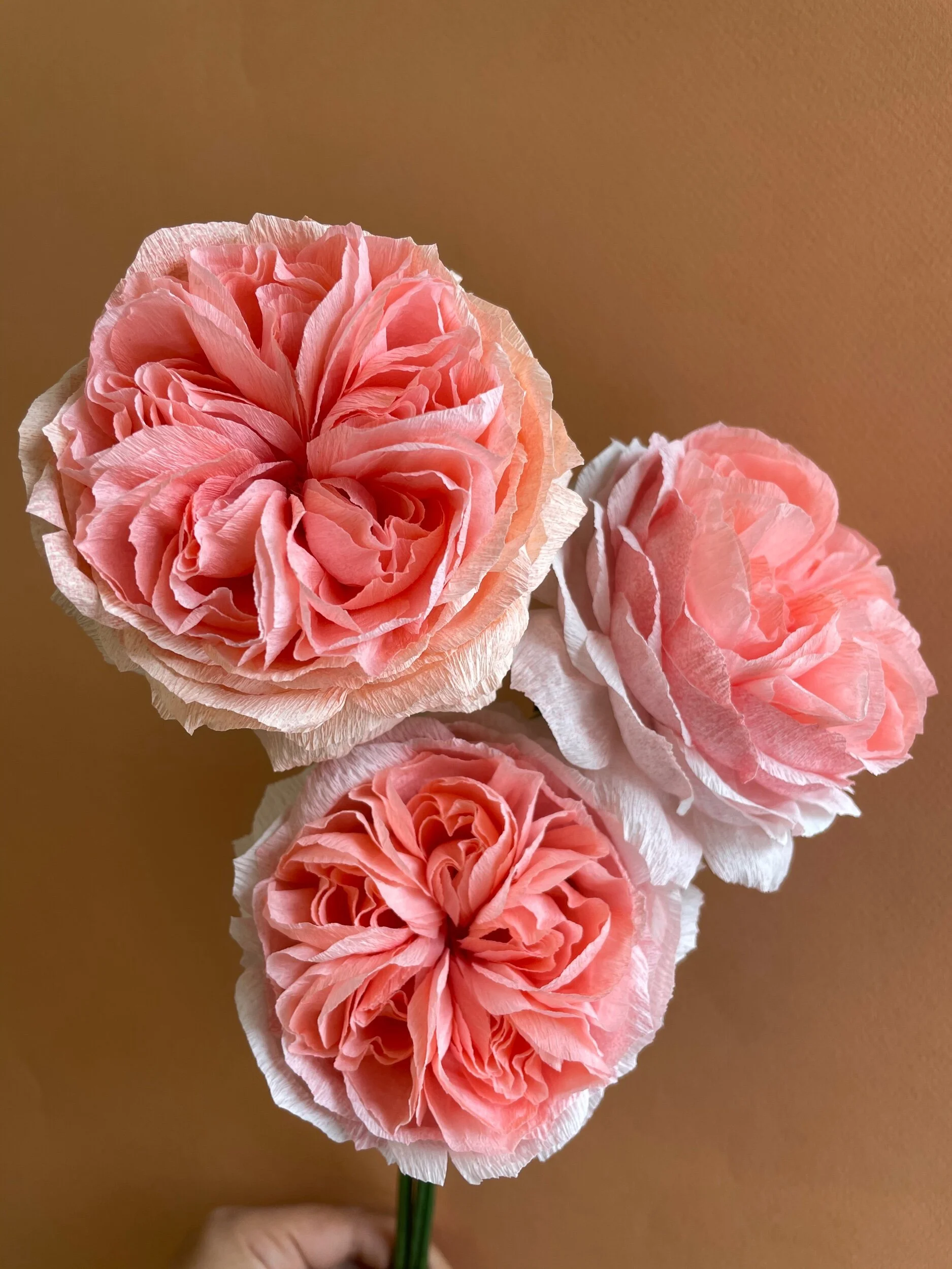 5BCEAEDD-9152-4061-BB45-E4BF1F26CE70