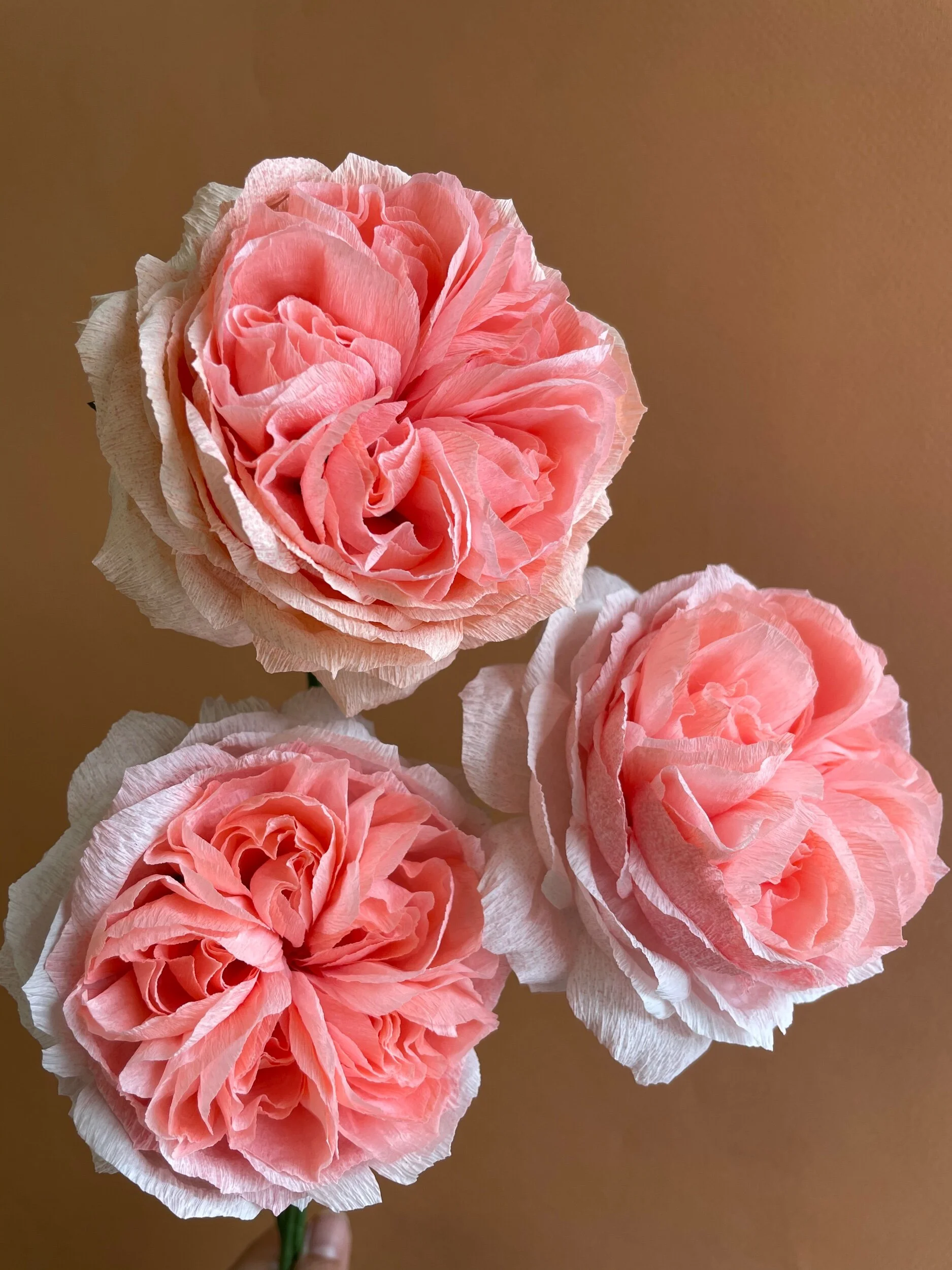 C2C3776D-A3E4-4CCA-BE88-C66C4A05E517