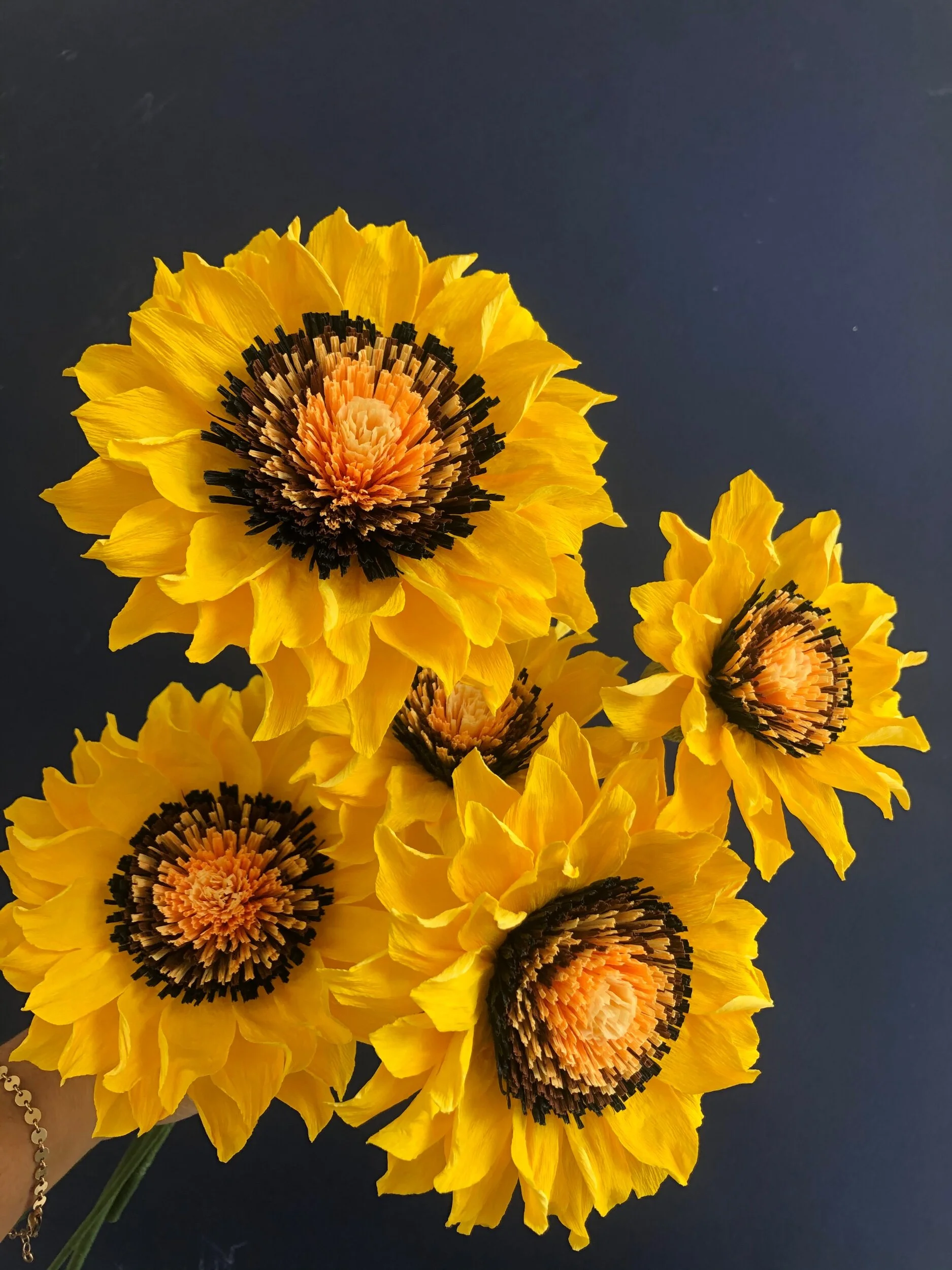 07B3CCDC-5848-4237-B839-5F46CFD892C2