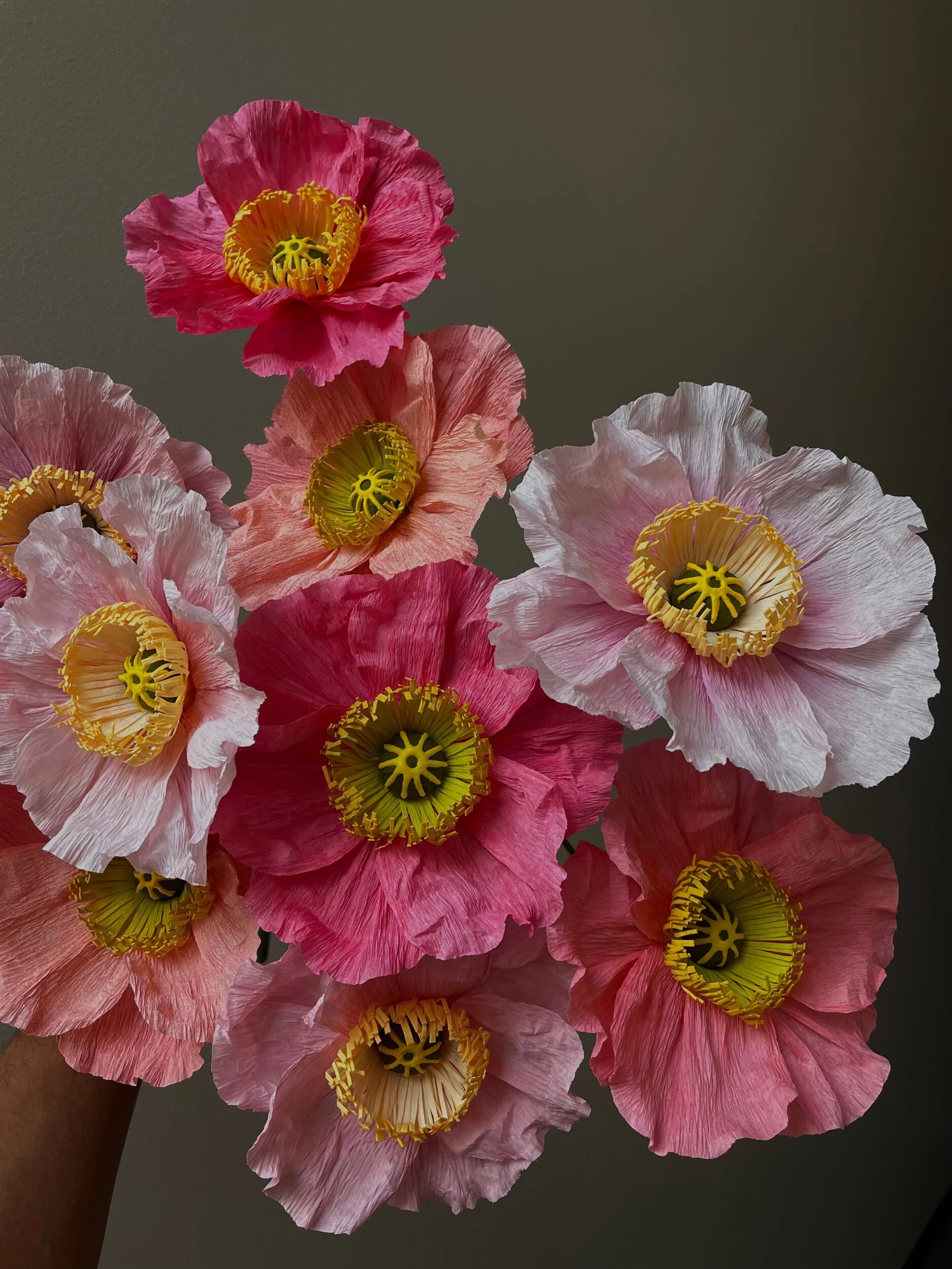 6C779131-E4E2-401A-B419-F74203392F77