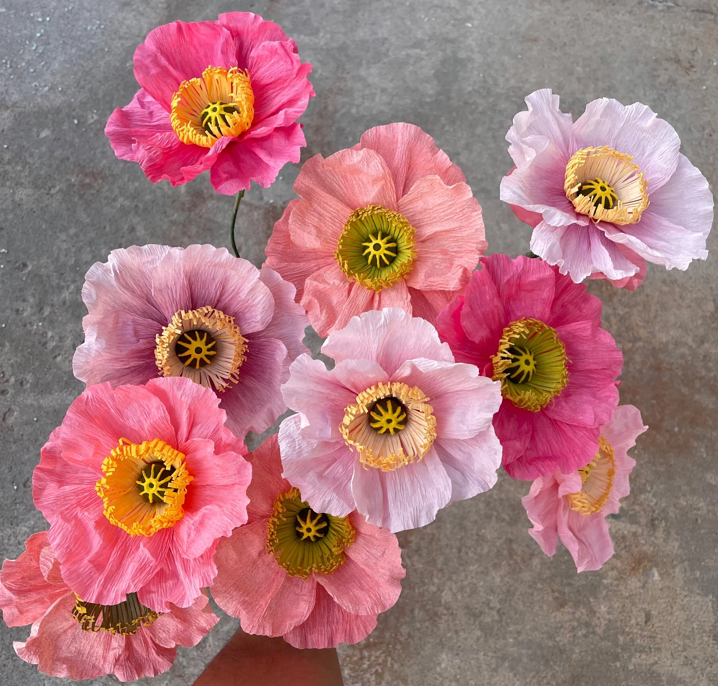 341ADF8D-3D5F-42BB-A84F-601DBE0FD88C