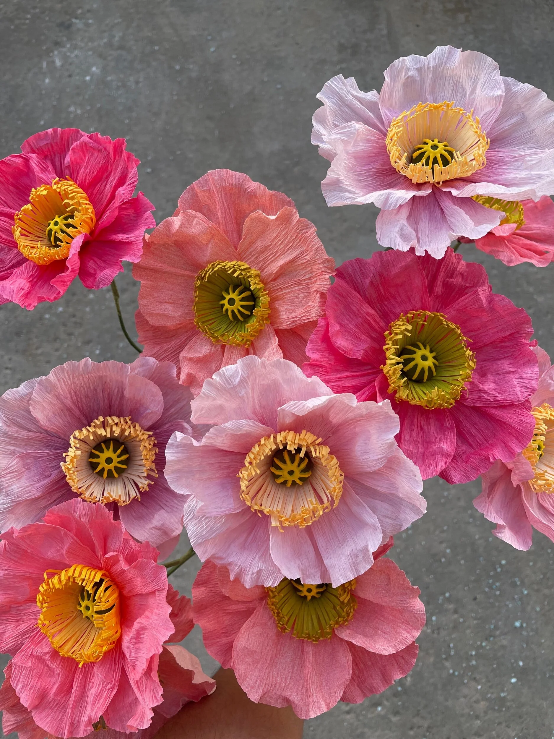 8E57BB9E-604F-462A-9146-CC1EA0E82B9D