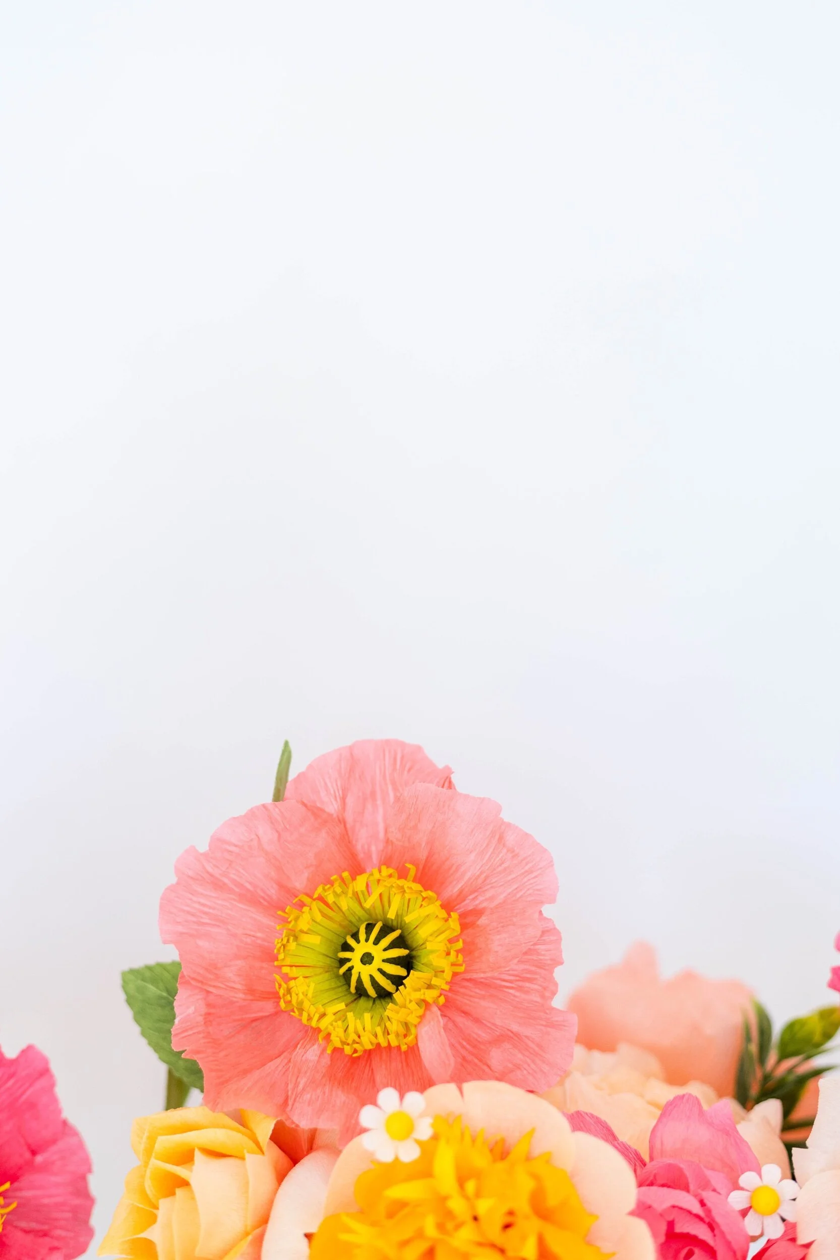 7E252252-7130-469A-A78A-DB76374BE54C