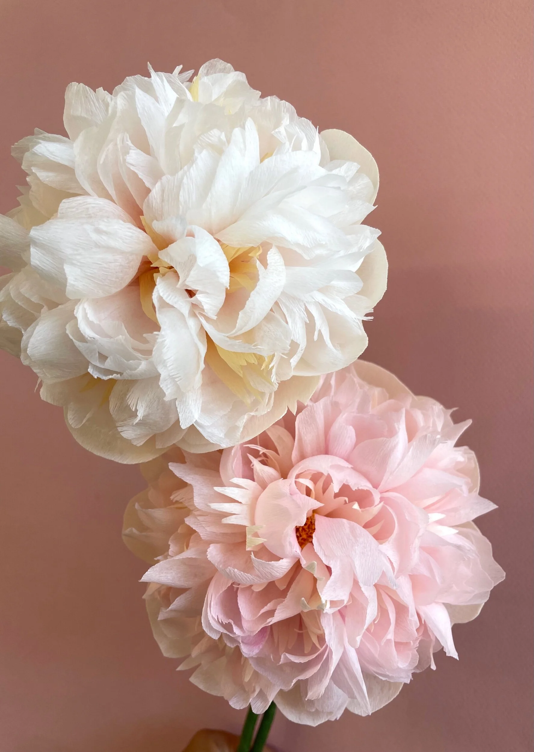 210B0155-4877-4904-823A-3BA6B3CF2027