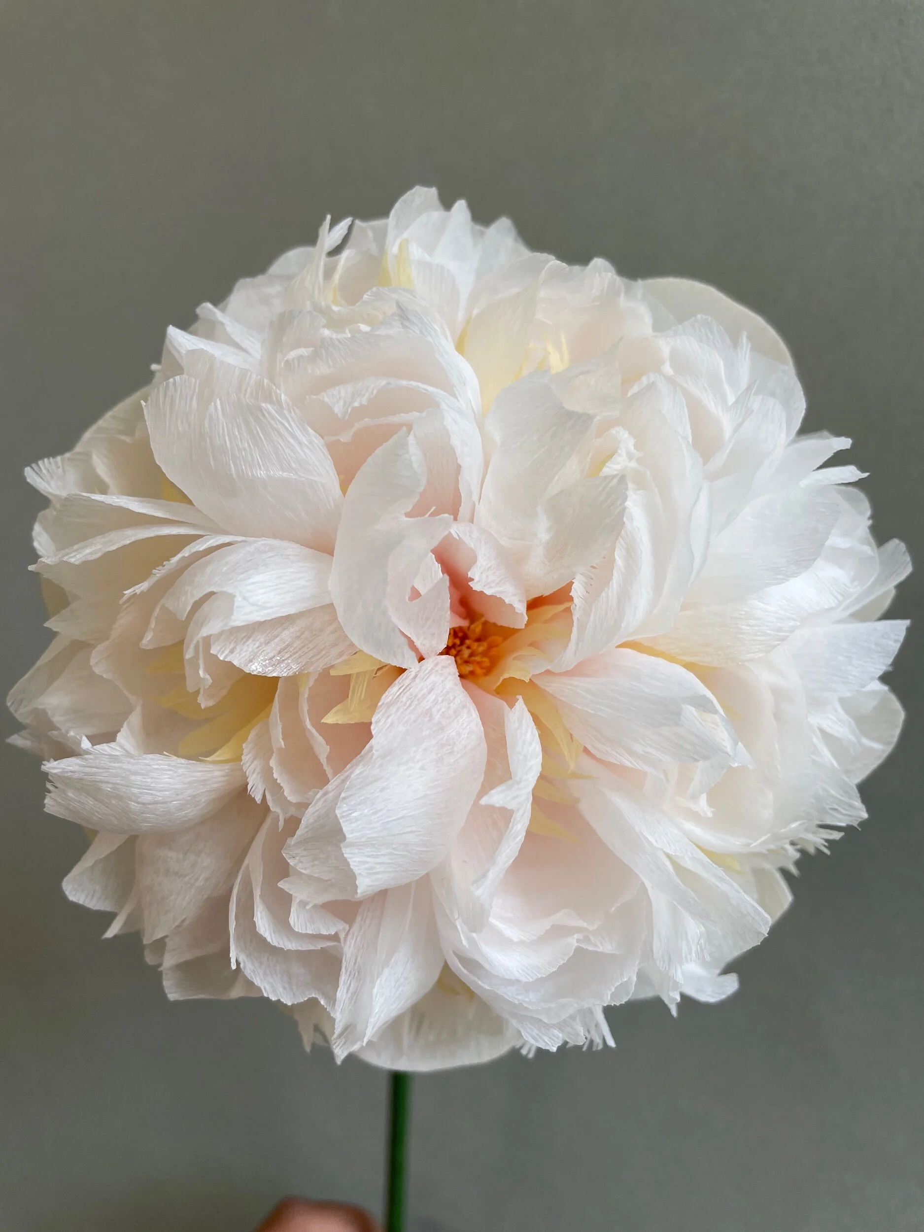 7497DD7E-3E95-4937-9797-DB0B18E53D90