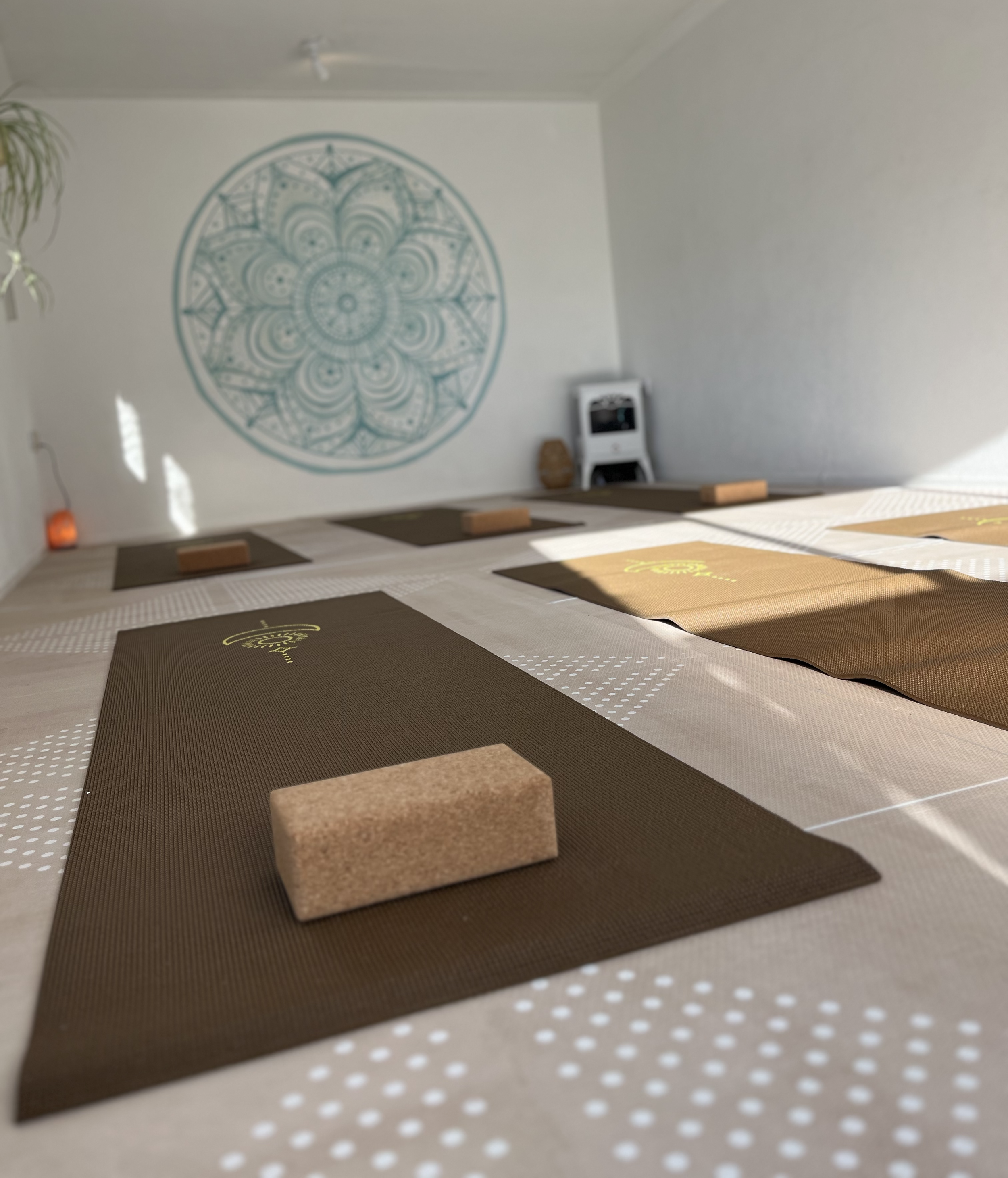 yoga-heiloo-studio01.png