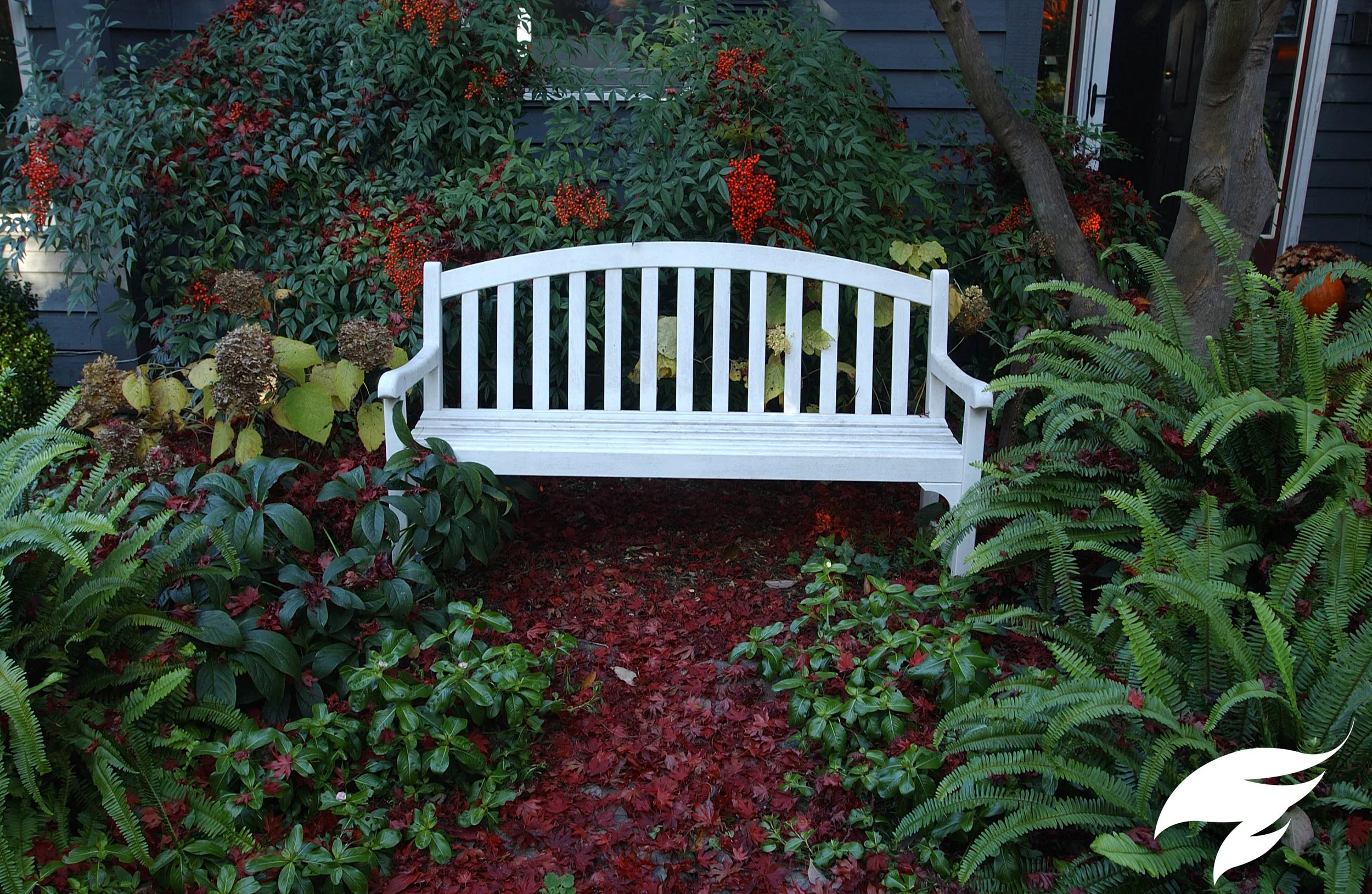 PLANTING- Valentine.jpg