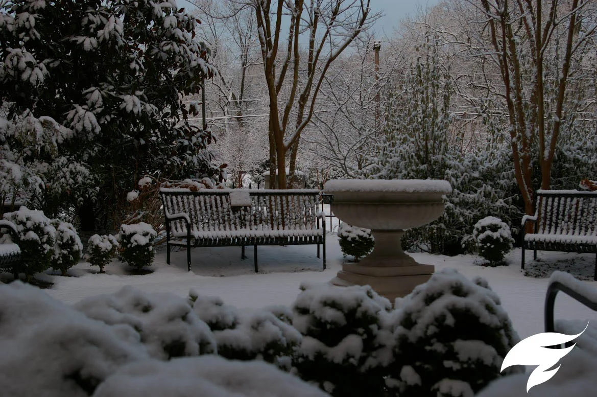 TAGGED Patio- EP WInter.jpg