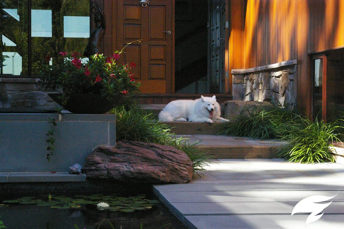 TAGGED Walks- Peterson D.jpg