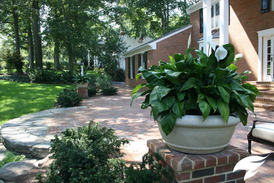 TAGGED Walks-Cole.jpg