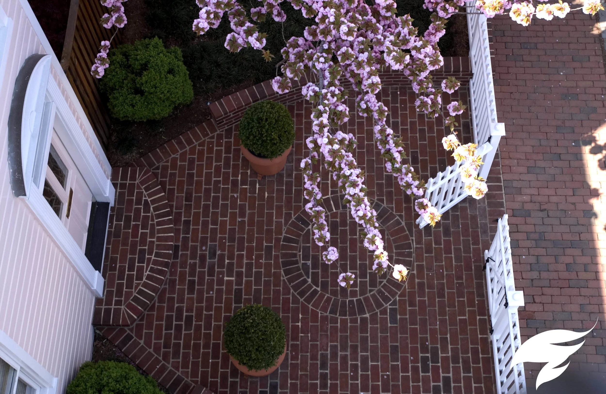 TAGGED Walks-Zajac.jpg