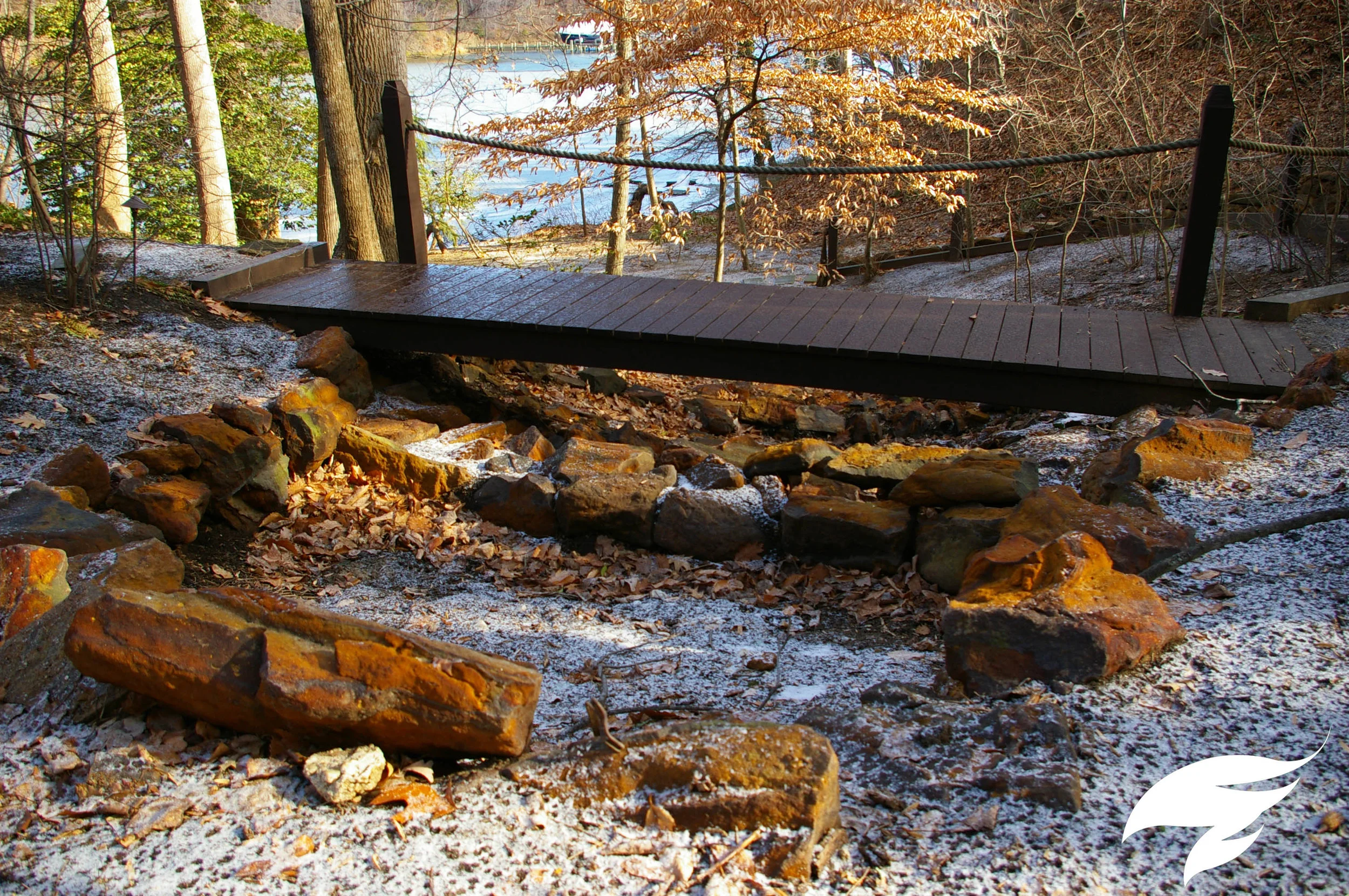 TAGGED Structure-Alderdice.jpg