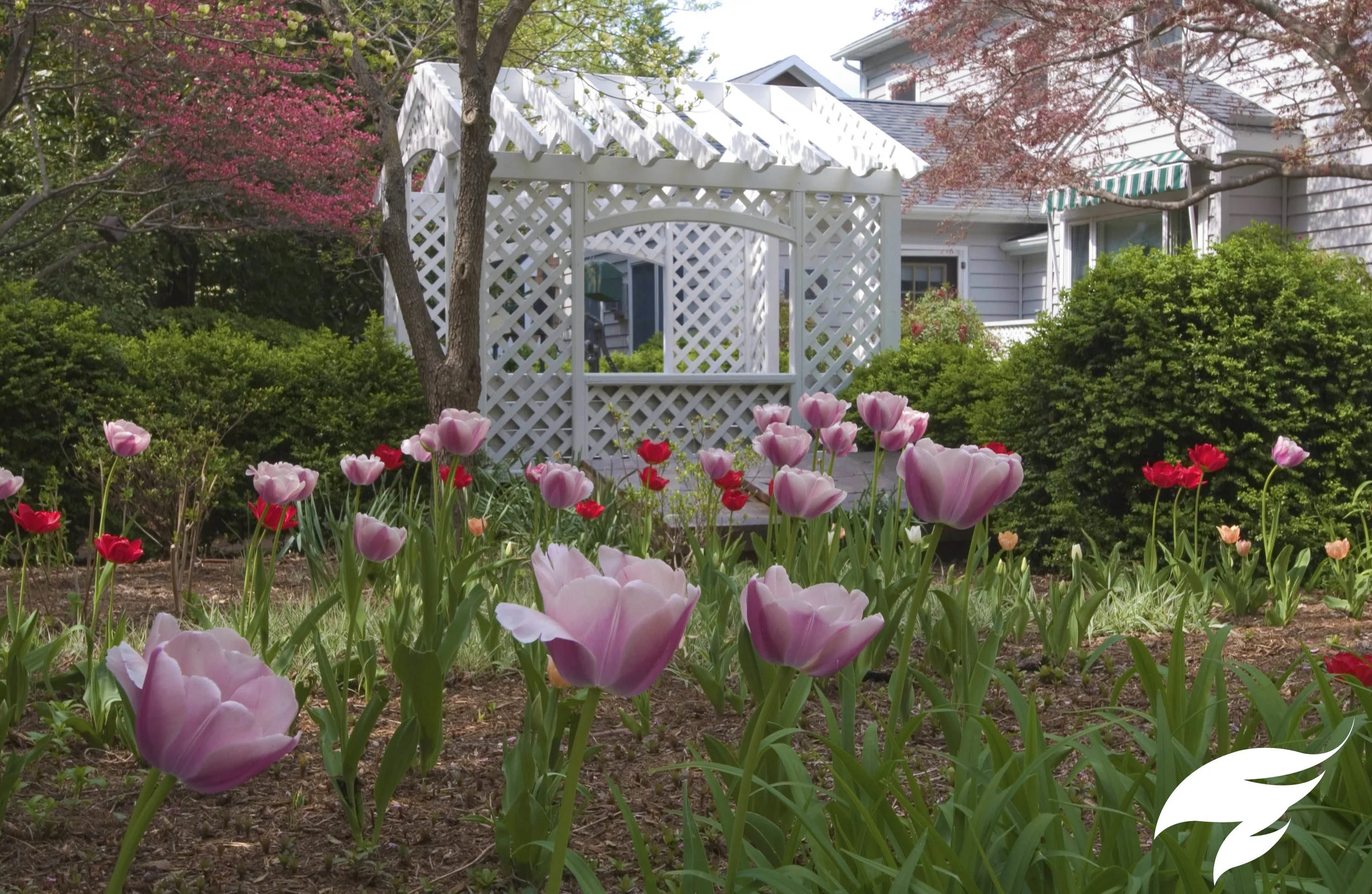 TAGGED Structures-Valentine.jpg