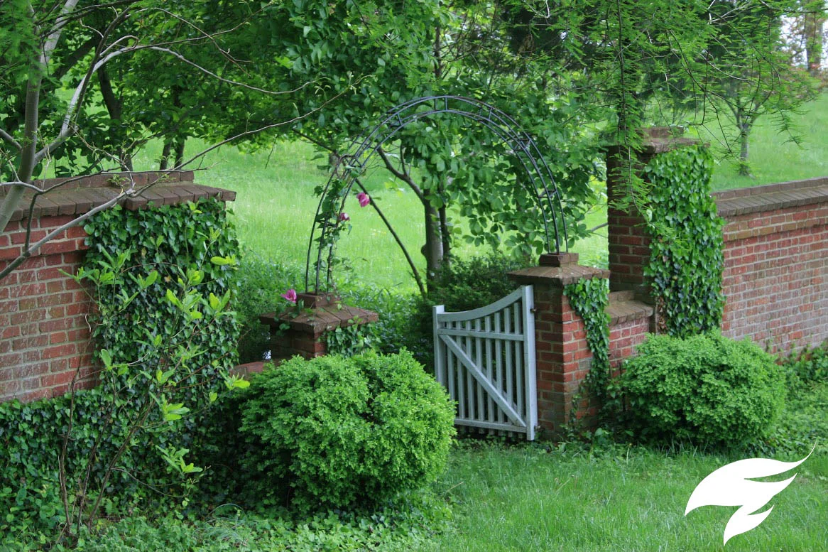 TAGGED Planting- Holly Beach.jpg