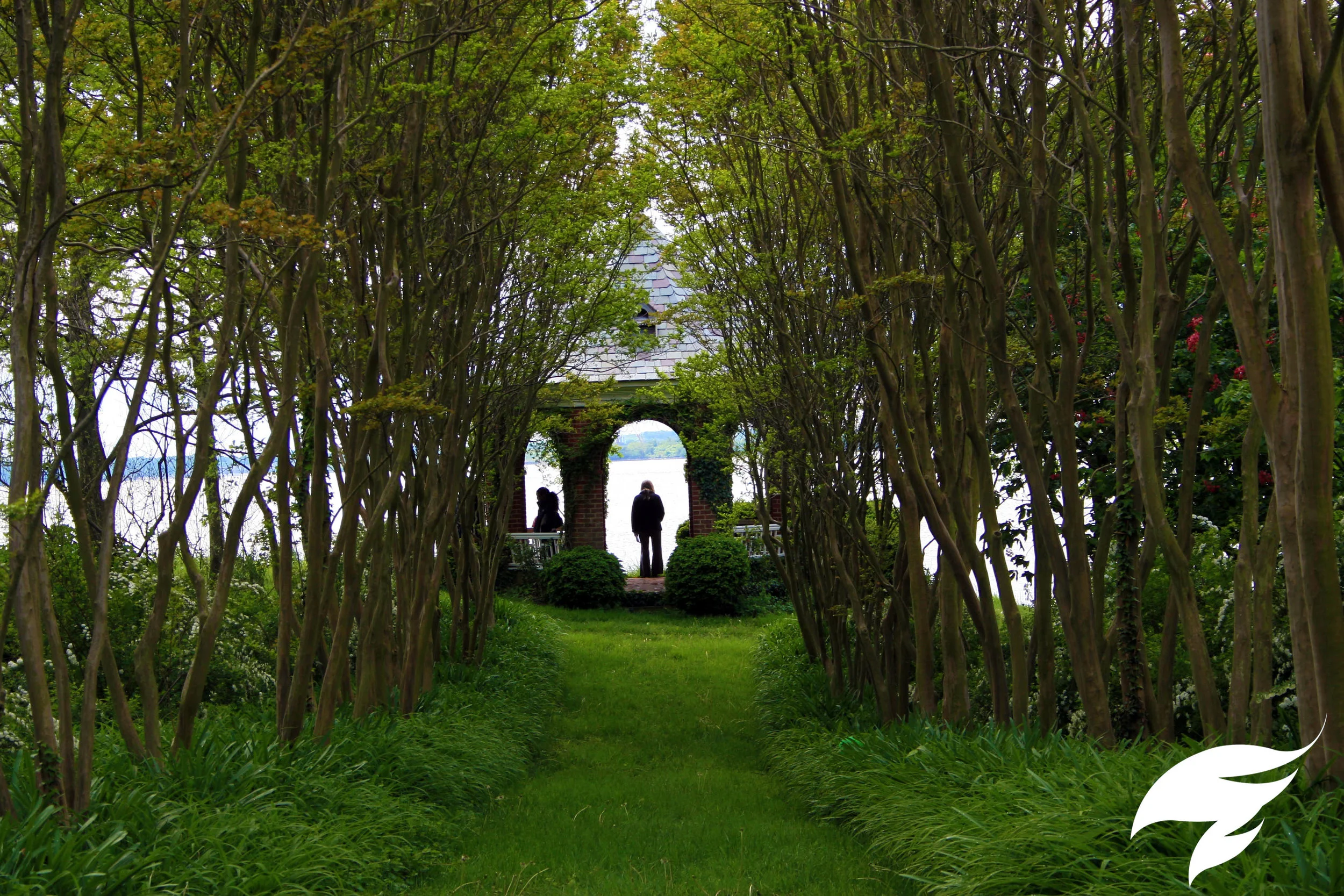 TAGGED Planting- Holly Beach3.jpg