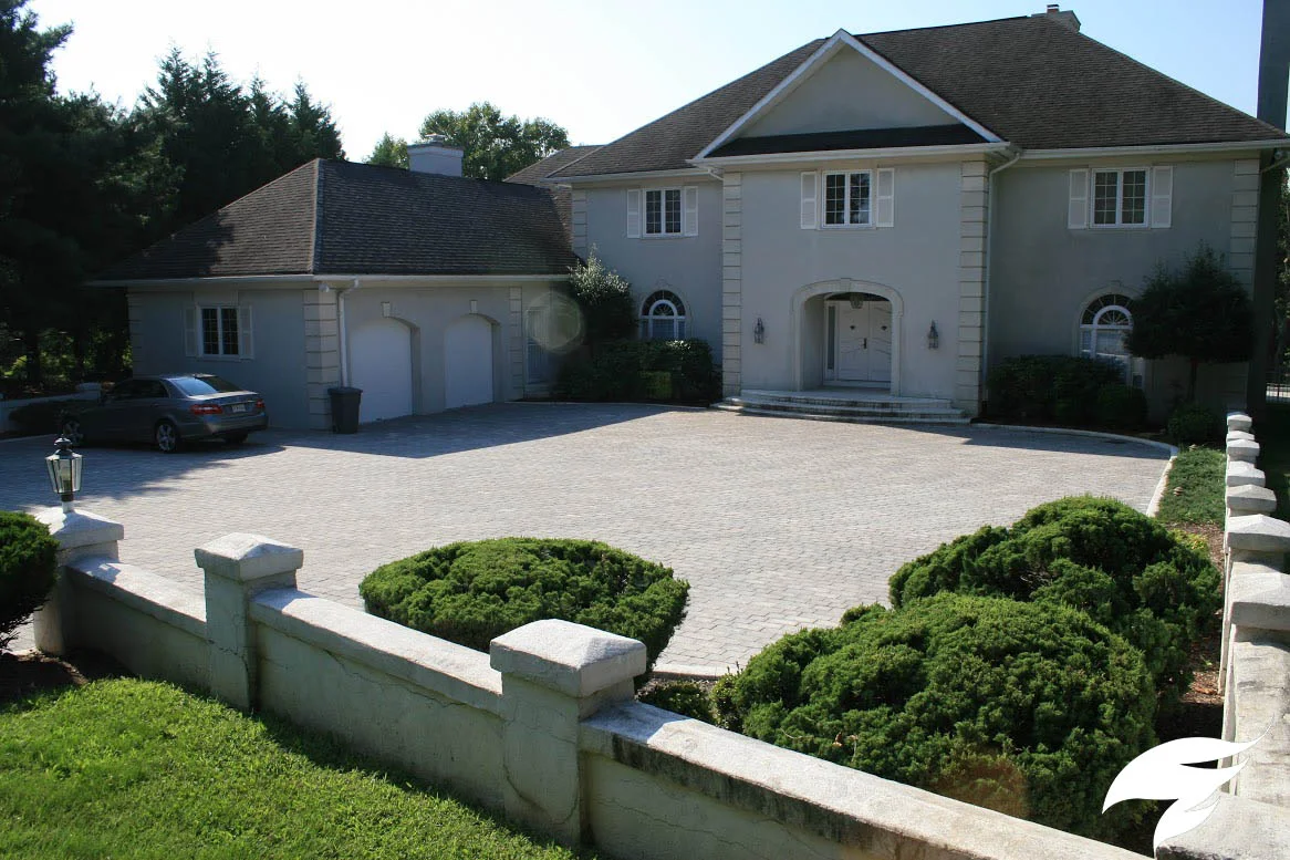 TAGGED AFTER Shagran.jpg