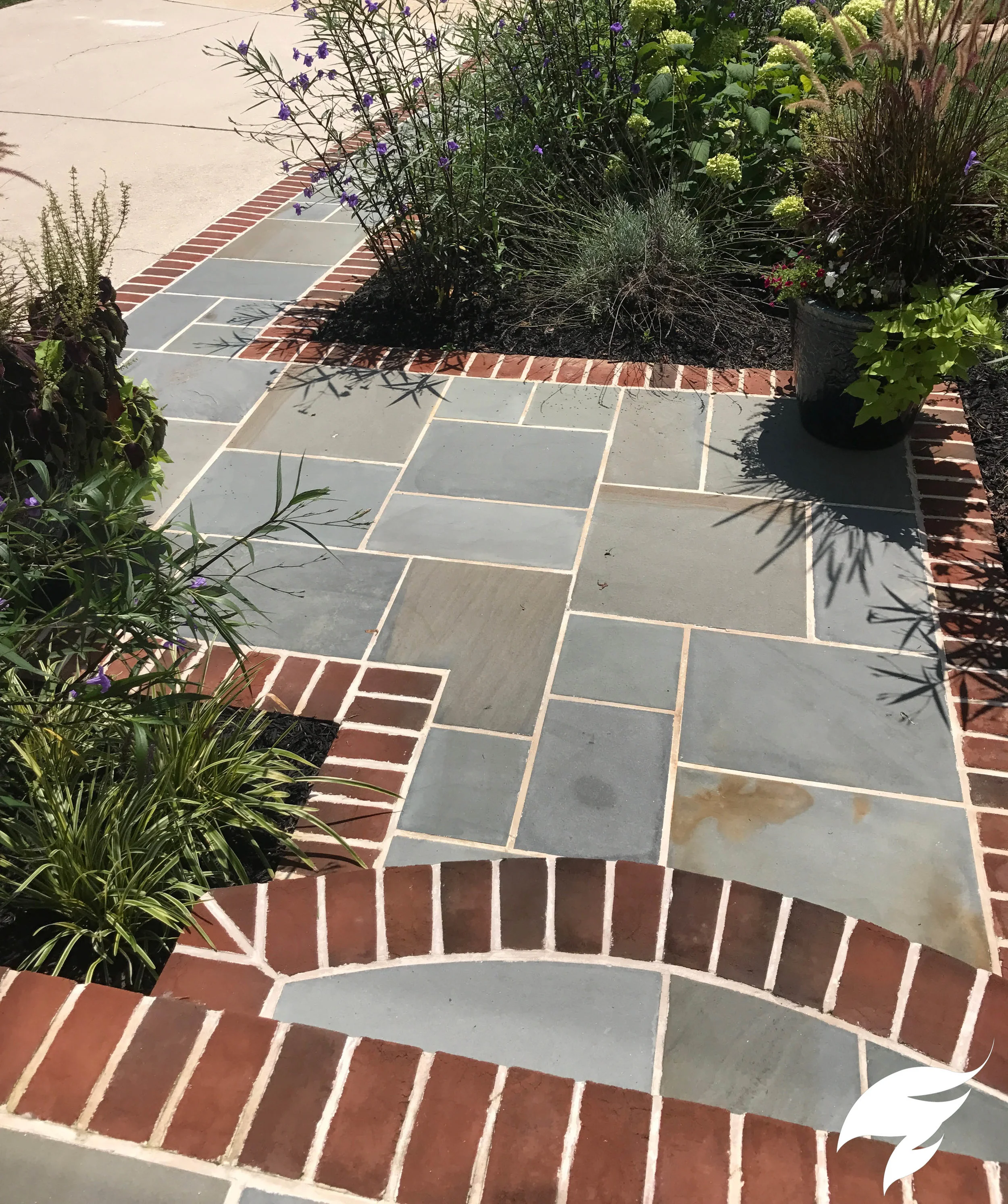 TAGGED Walk- Damico.jpg