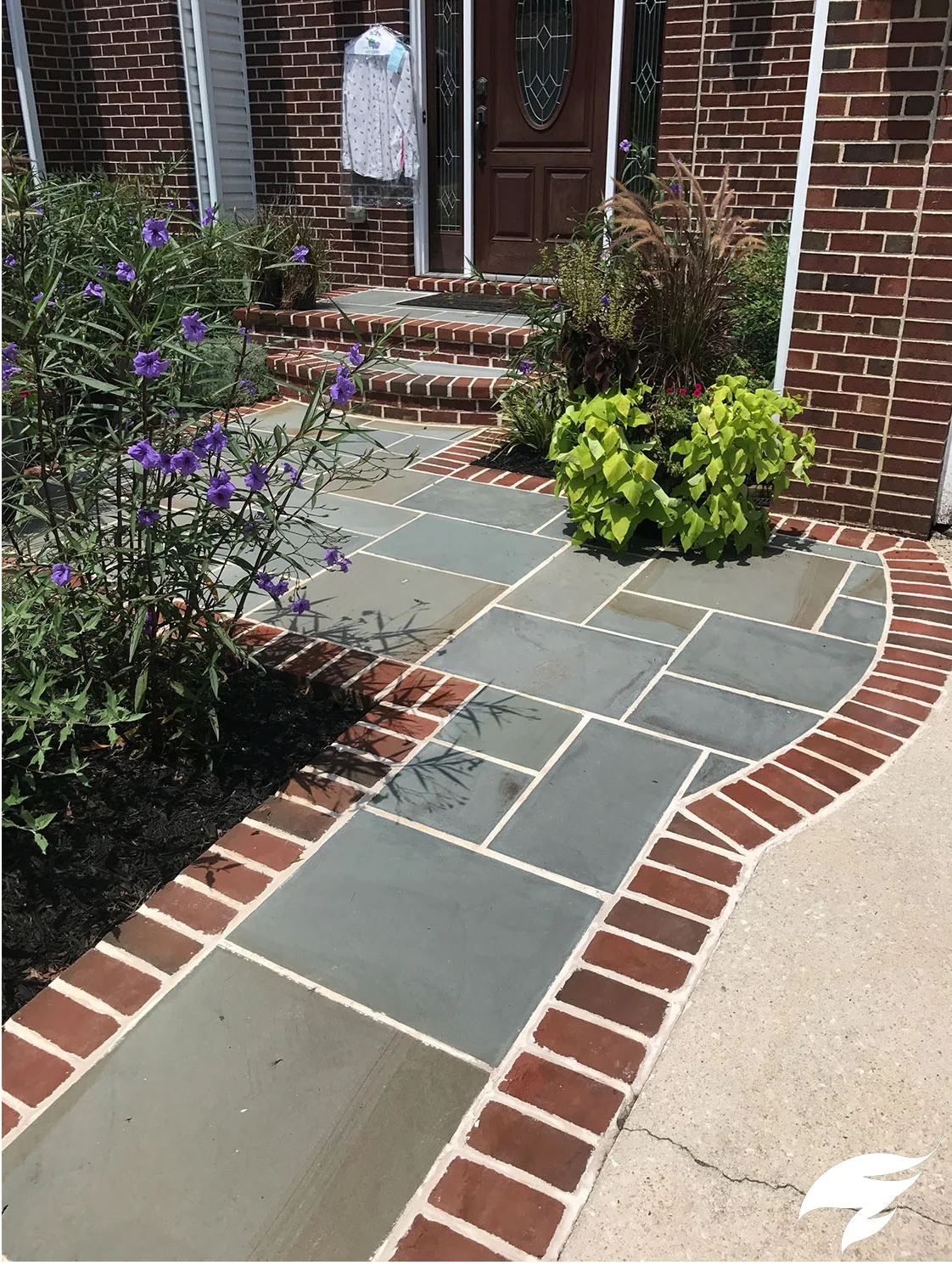 TAGGED Damico AFTER.jpg