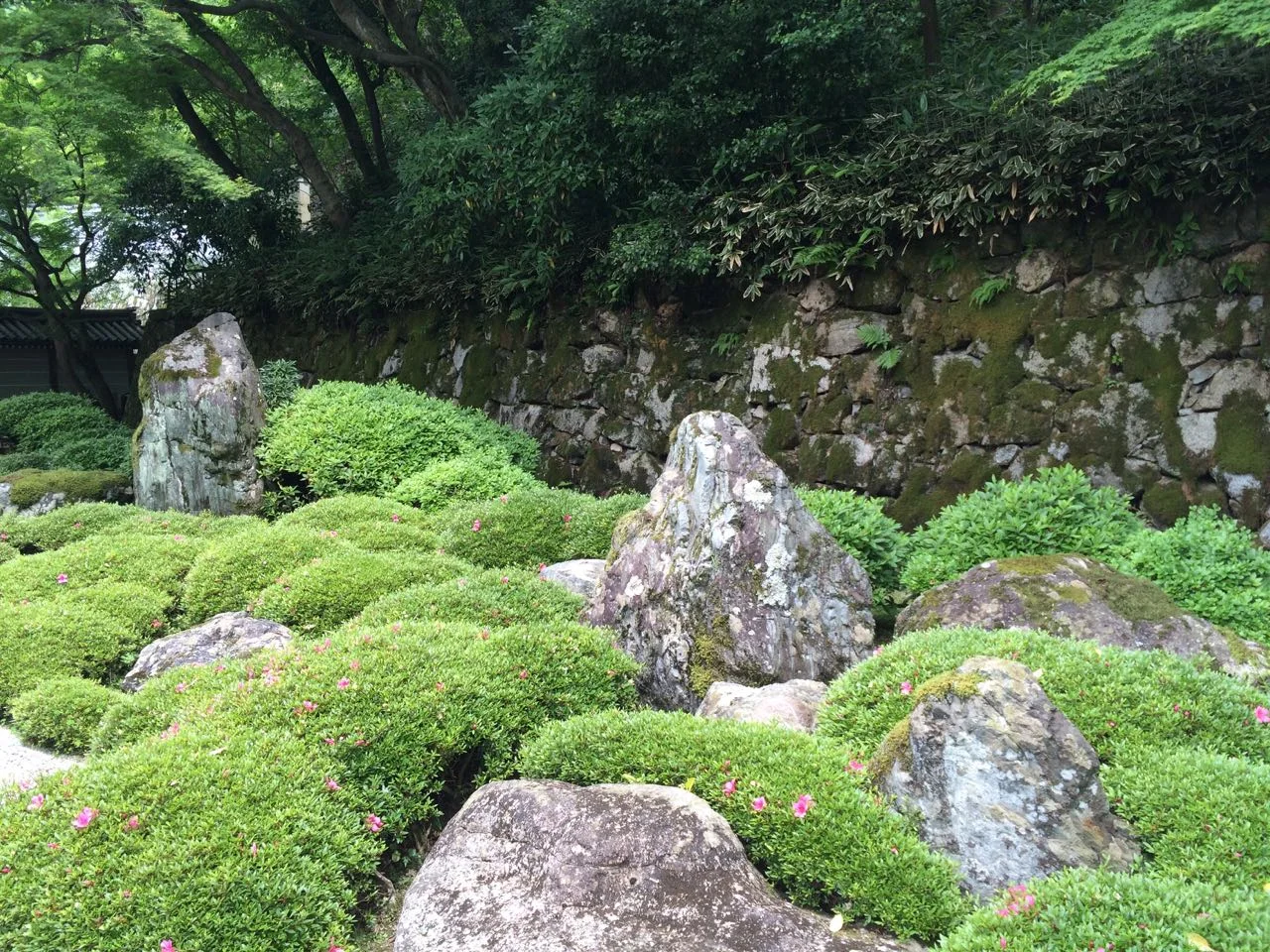 Chion-in Hojoen Shrub Painting
