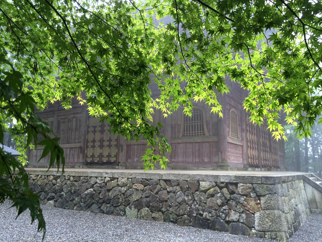 Maple leaves in front of Enryaku-ji