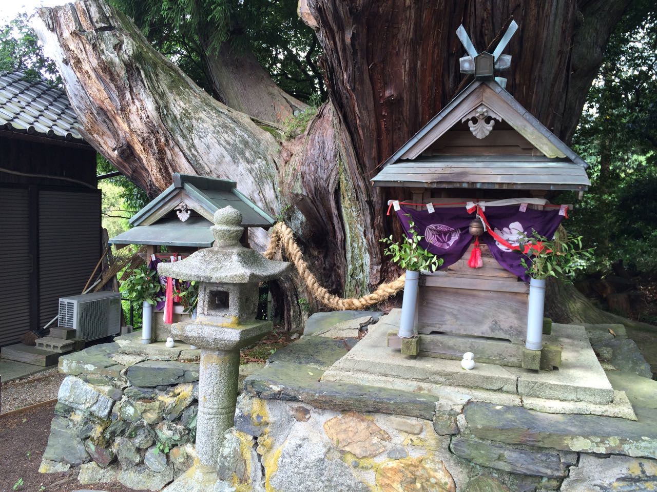 Shrine to the eight-limed tree