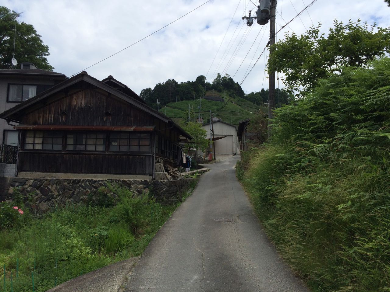 Paths wind through suburban housing into the plantations in the hills.
