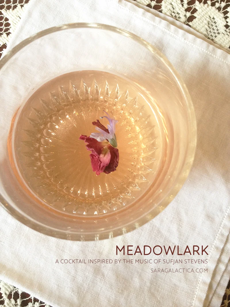 Meadowlark: A cocktail inspired by Sufjan Stevens' Carrie & Lowell. Made with Hendrick's gin, Lillet Blanc, rosemary syrup, rosewater, sea salt. Free recipe at saragalactica.com