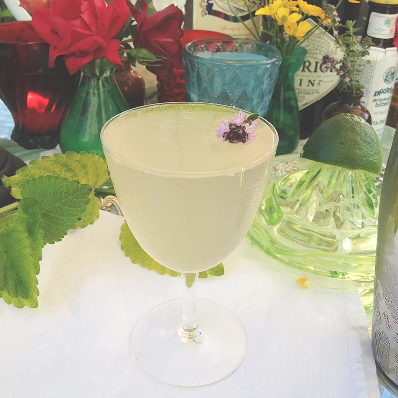 Green Gables cocktail: Gin, Lillet blanc, lime, thyme simple syrup, bitters. | Free recipe at saragalactica.com