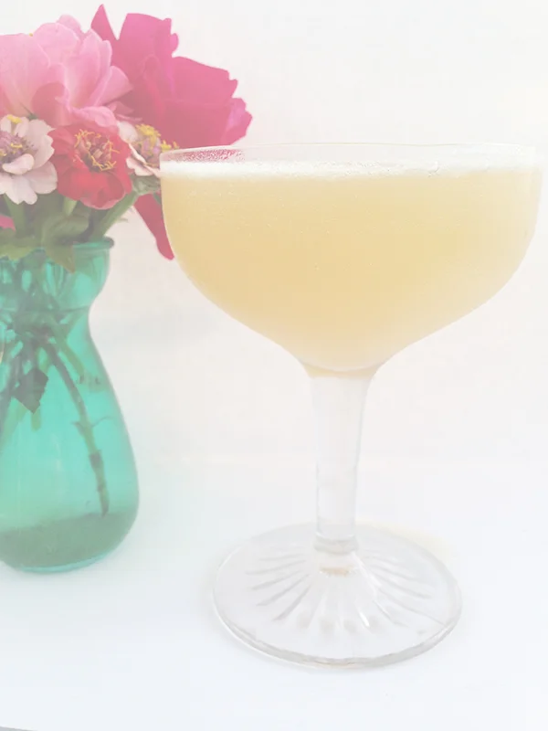Cocktail: Floating in the sun on Lake Whatcom, 2015. Gin, orange liqueur, pale ale syrup, lemon juice. Recipe by Sara Galactica. | saragalactica.com 