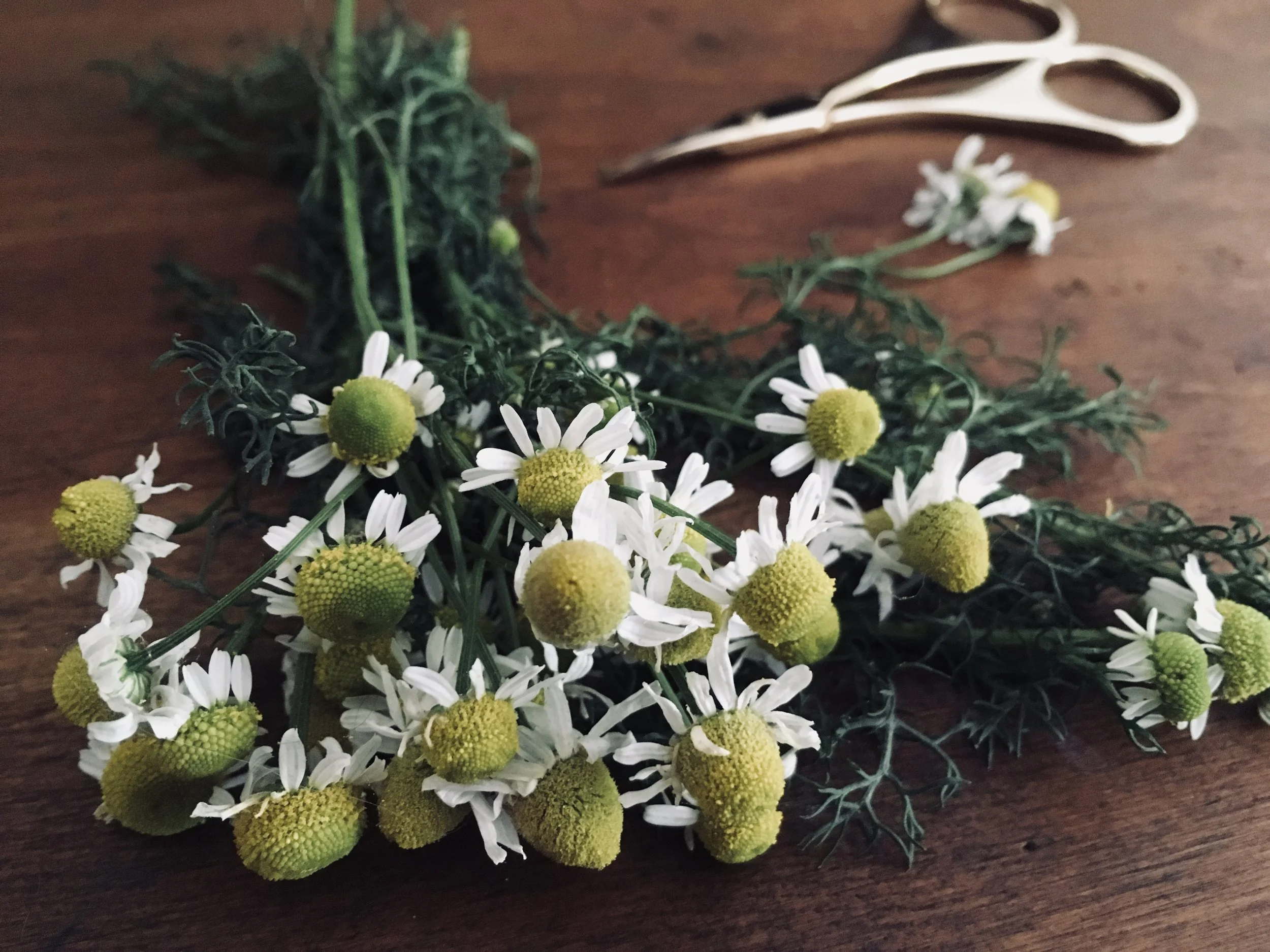claire-beauchamp-outlander-cocktail-chamomile.jpg