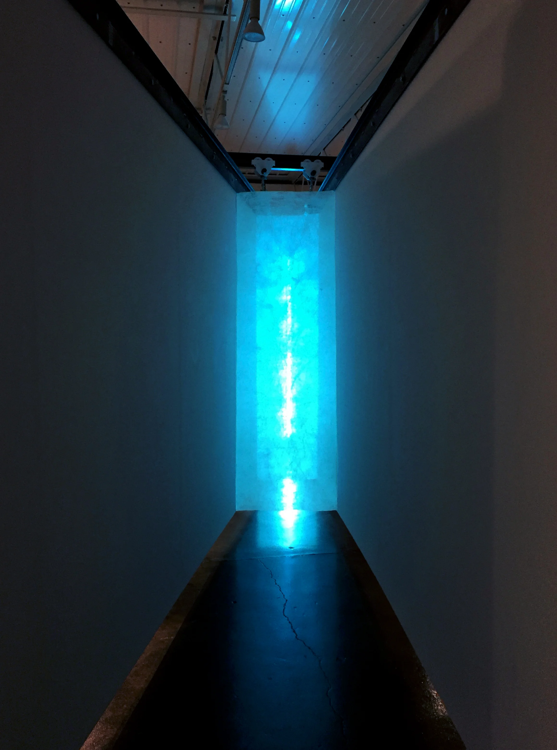 Untitled (Blue Light)